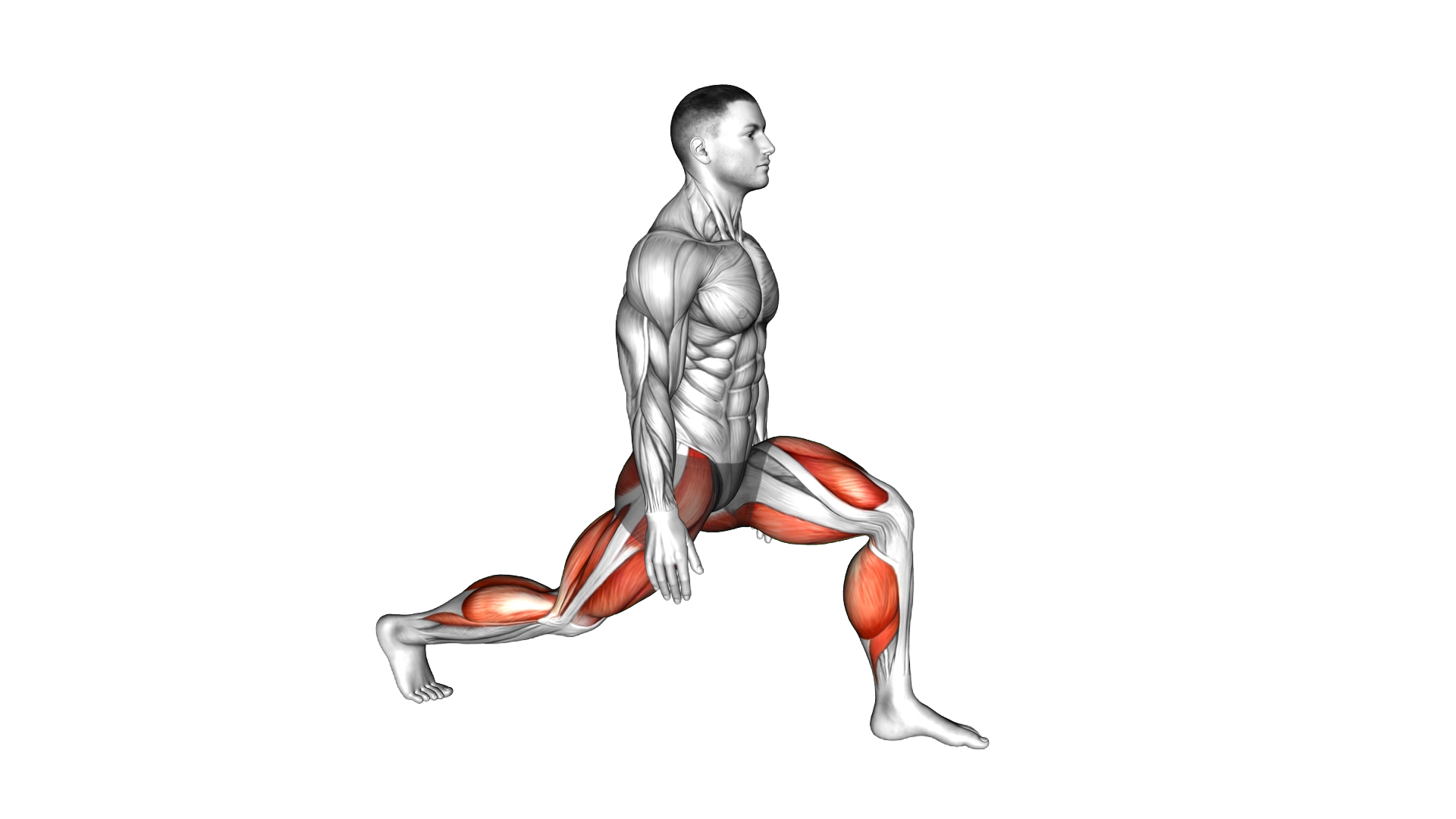 Low Lunge exercise demonstration