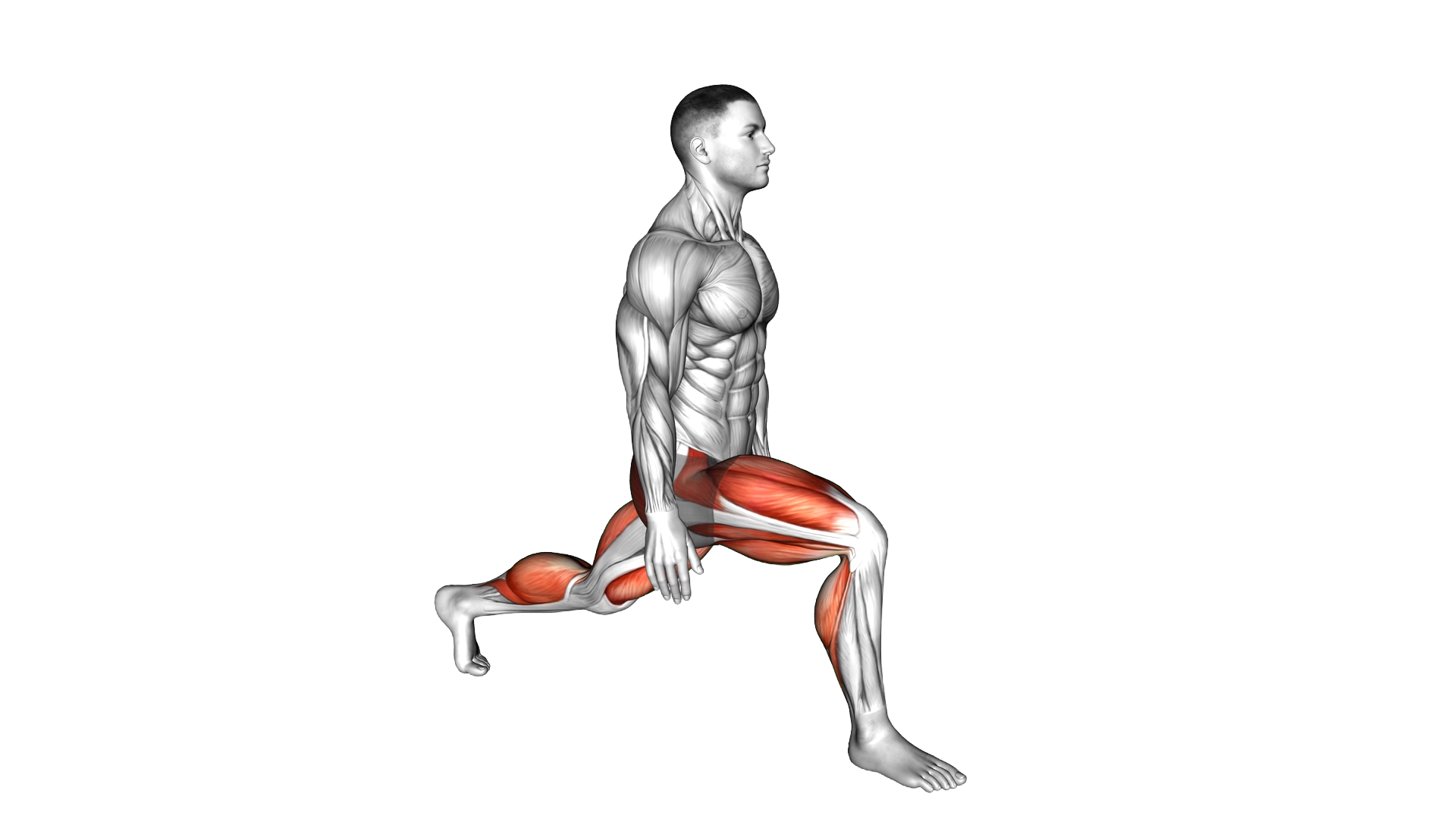 Low Lunge (left) exercise demonstration