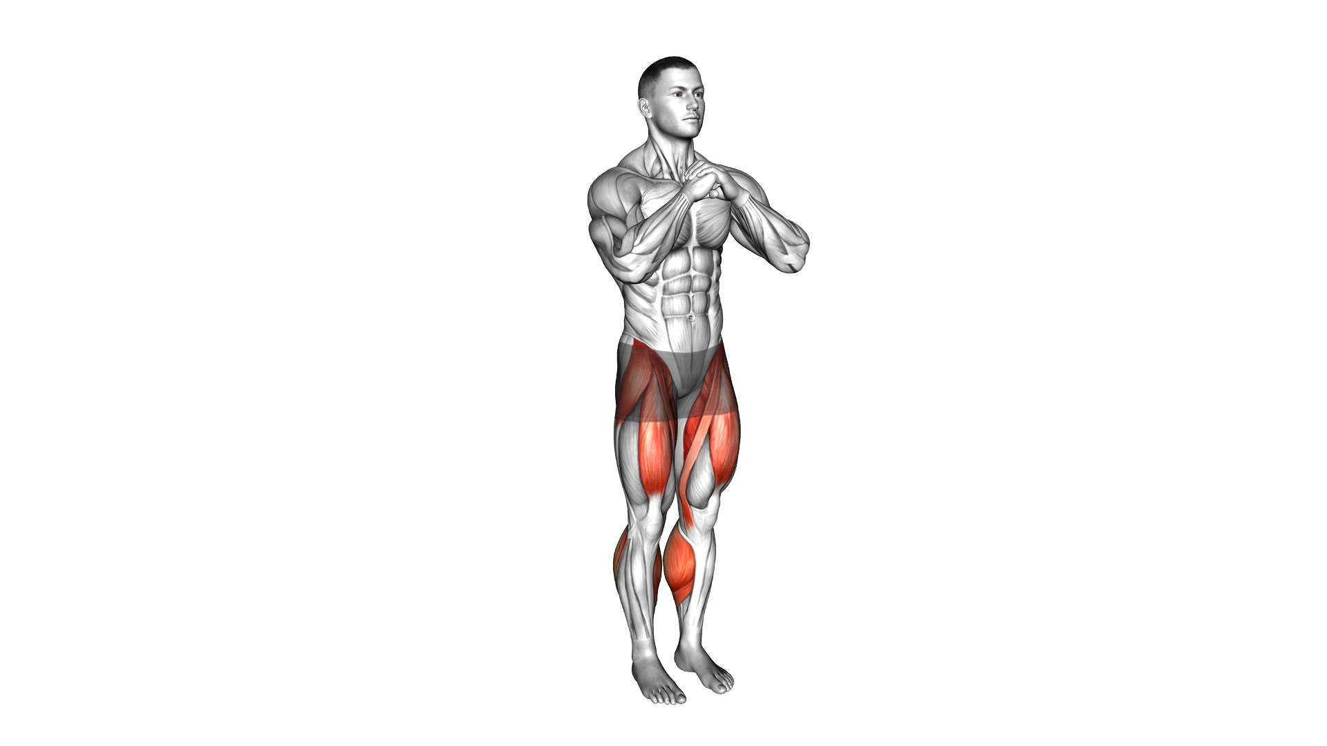 Front Leg Kick exercise demonstration