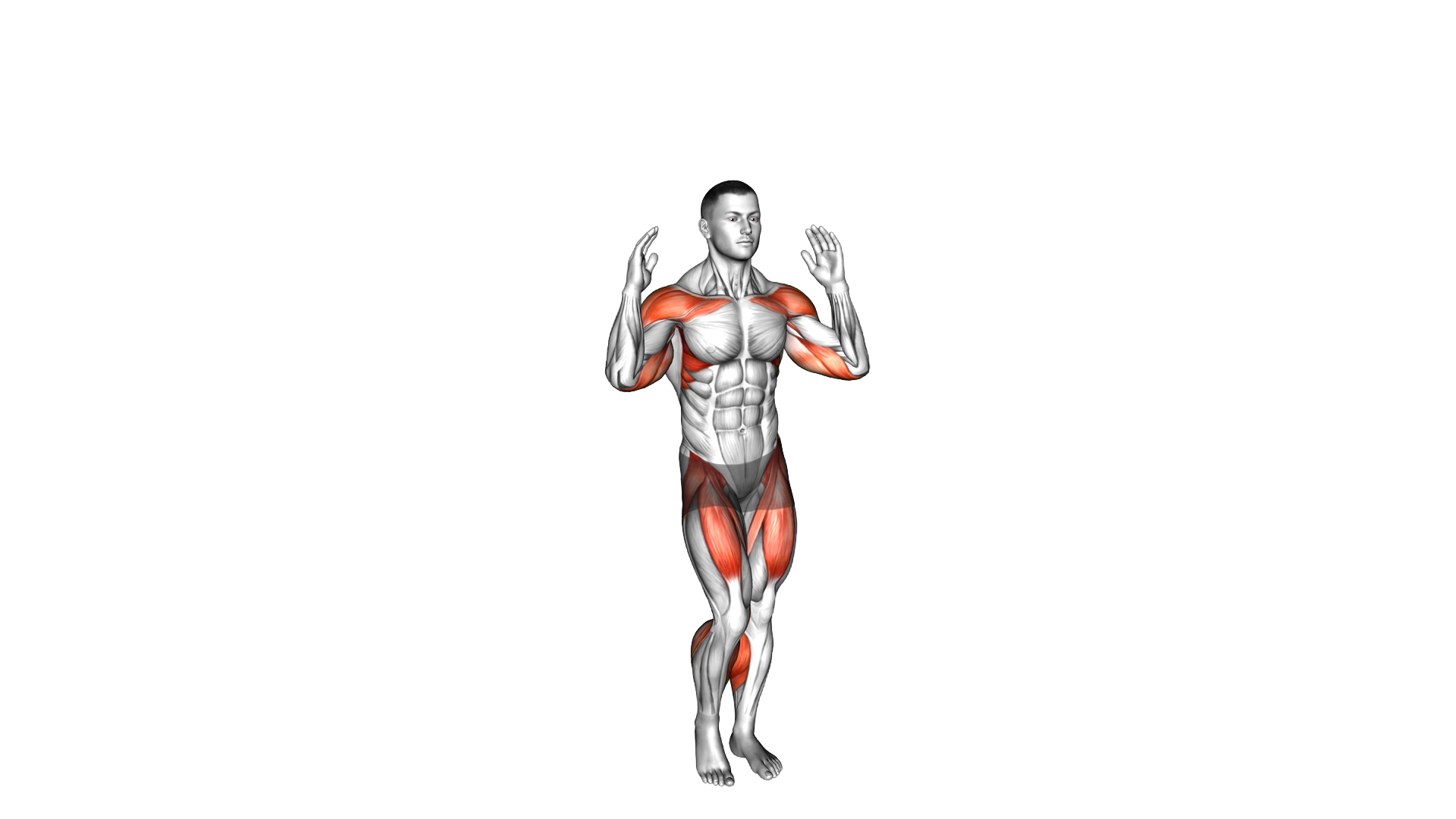 Arm Raise Step in Place exercise demonstration