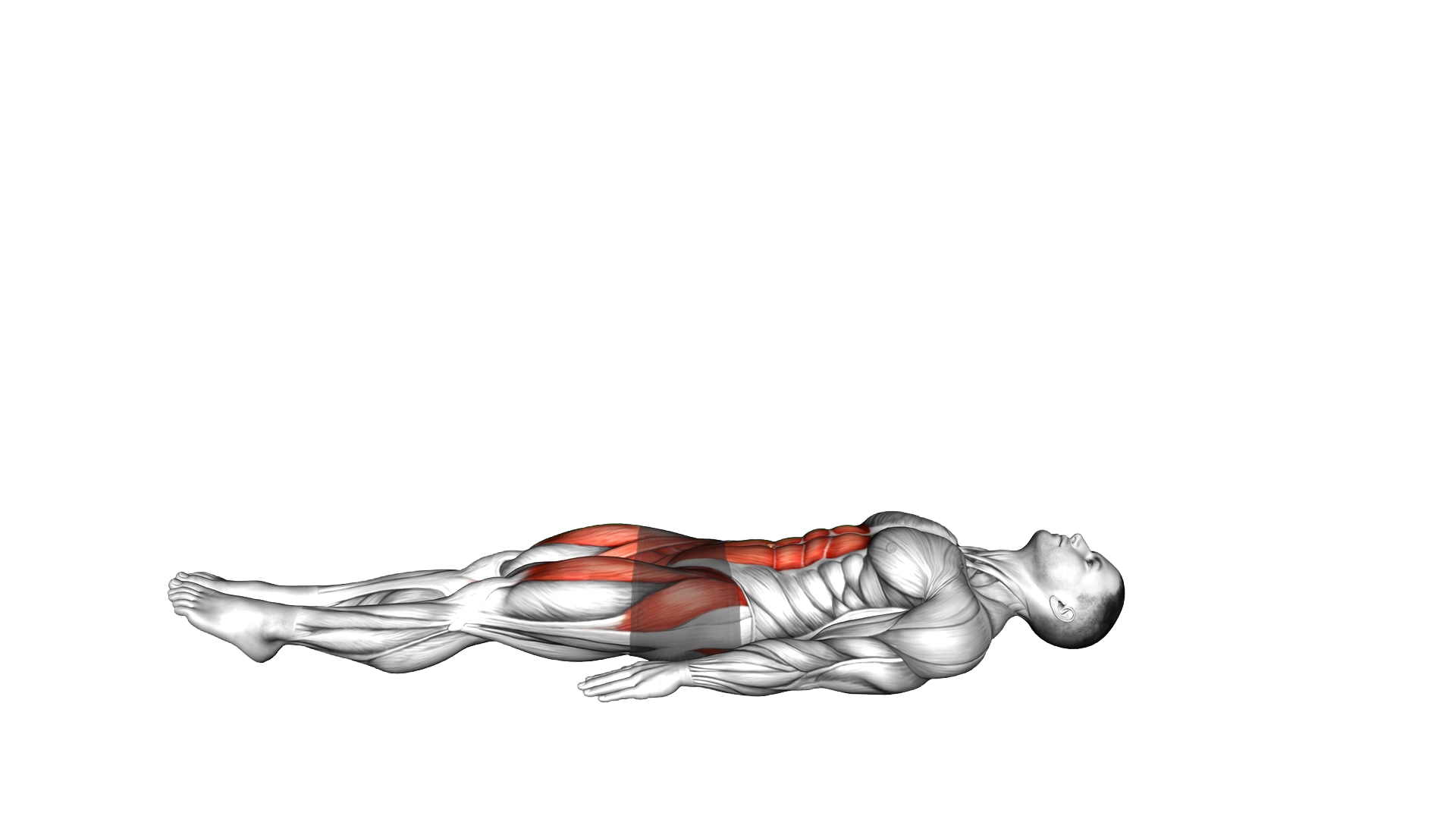 Lying Alternate Straight Leg Circle exercise demonstration
