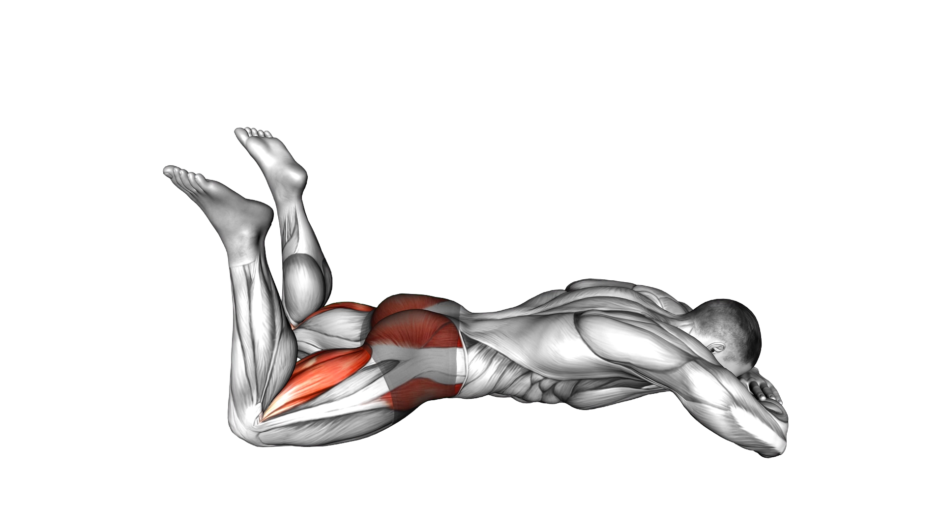 Lying Alternate Frog Kick exercise demonstration