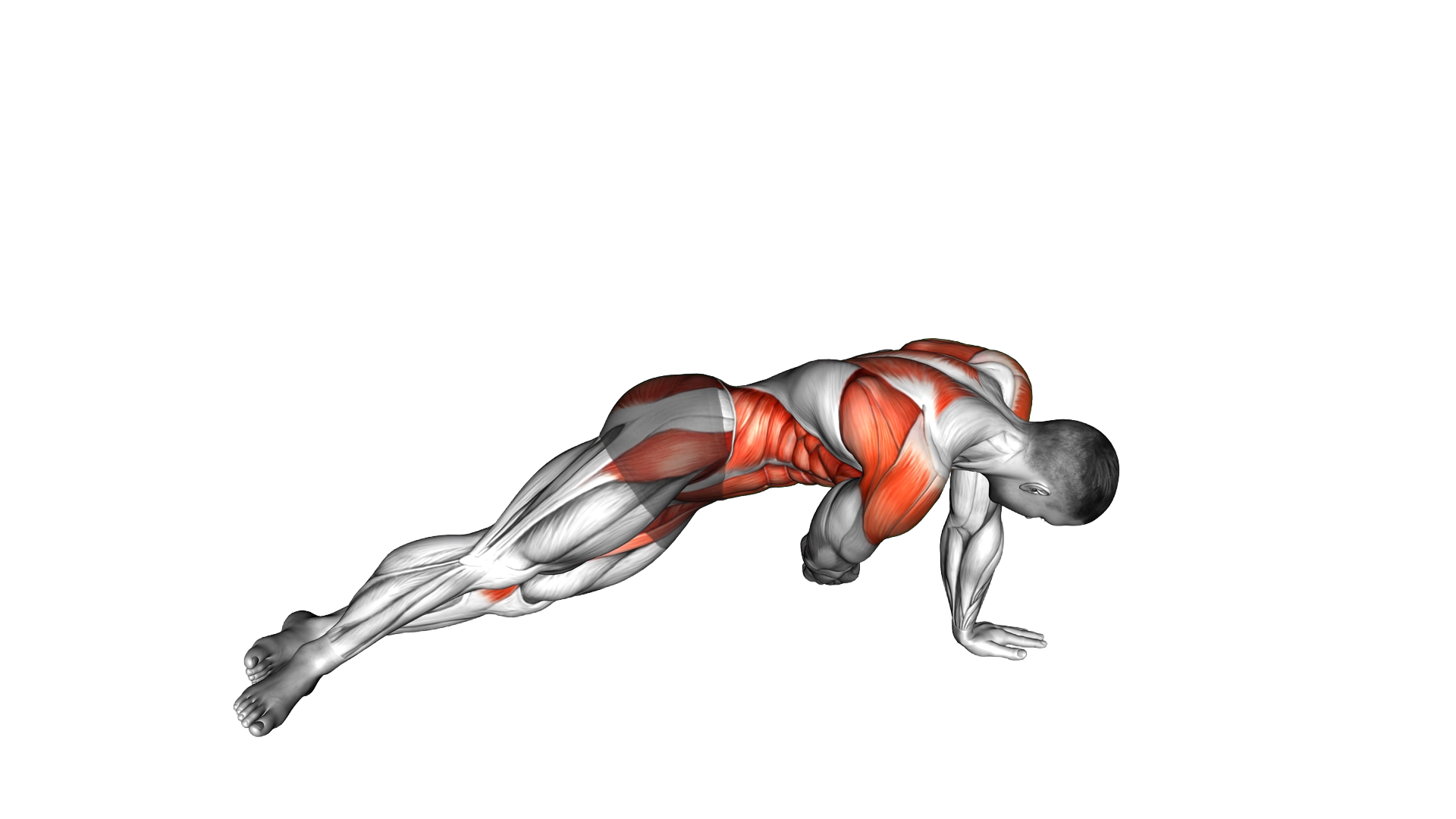 Side Plank Pull exercise demonstration