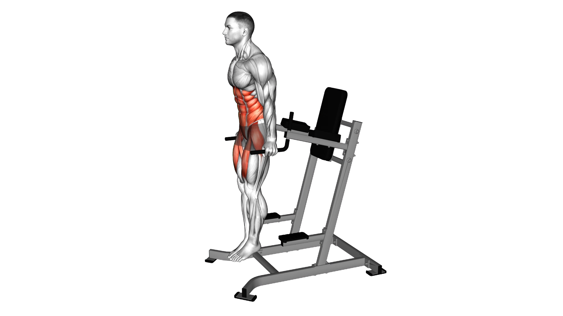 Ab Tuck exercise demonstration