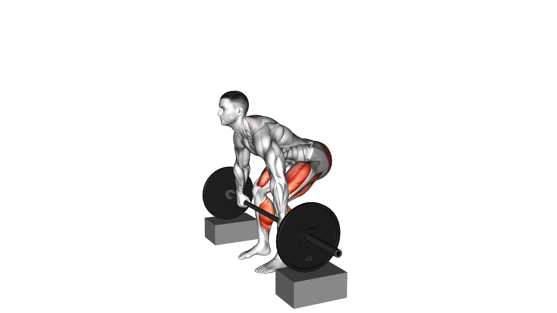 Barbell Deadlift from Blocks exercise demonstration