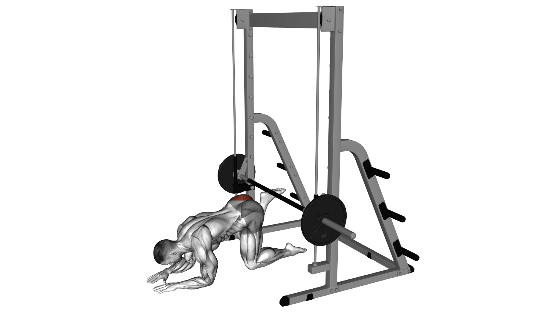 Smith Donkey Kick exercise demonstration