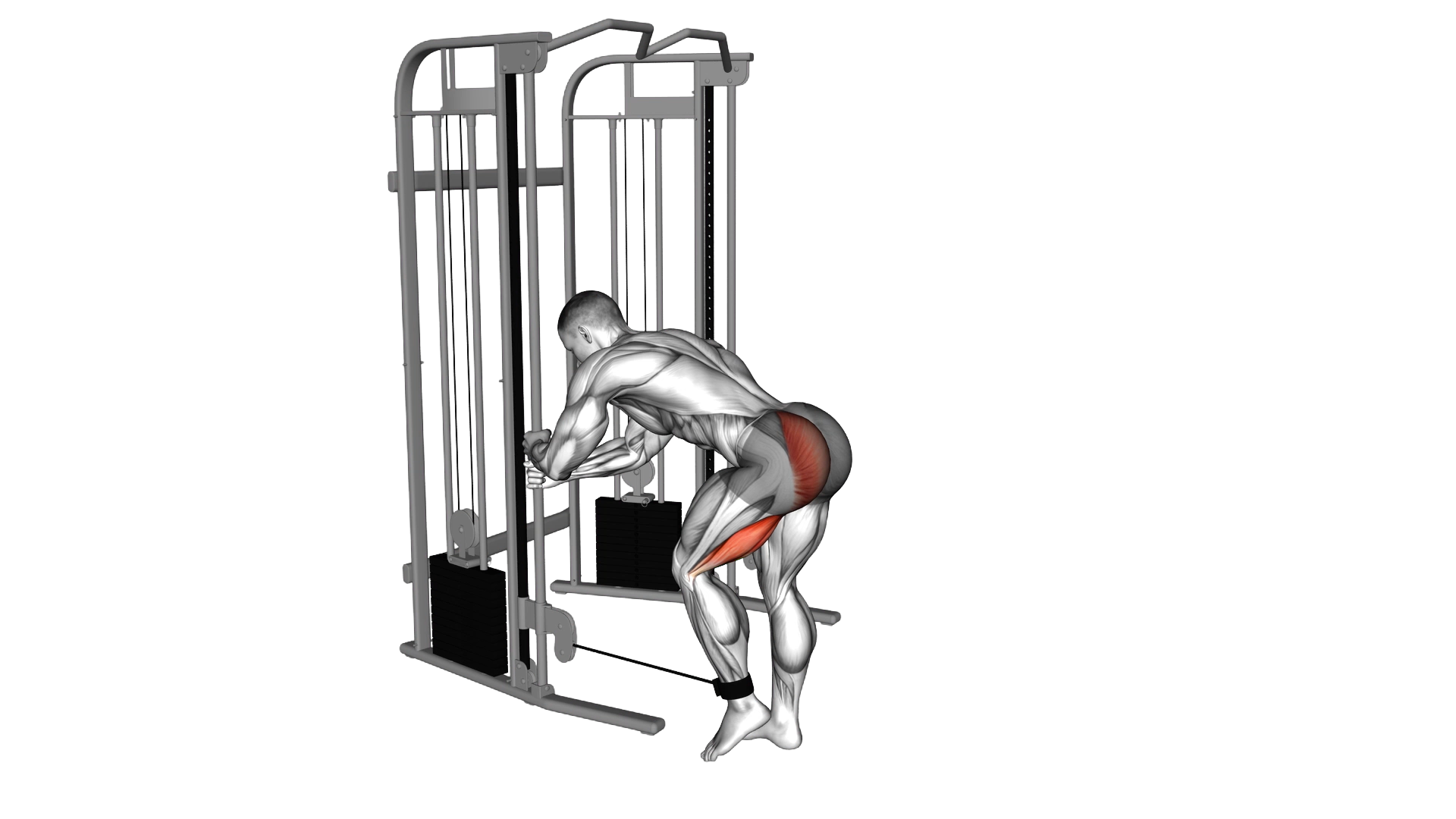 Cable Donkey Kickback exercise demonstration