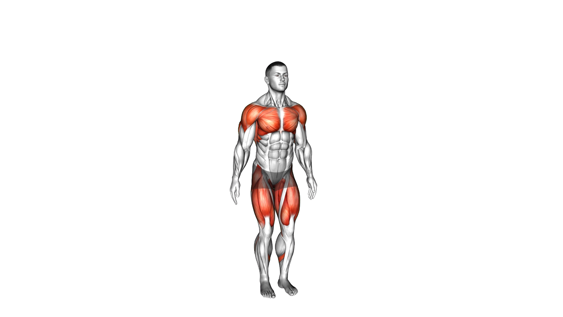 Side Step Jack Punch exercise demonstration