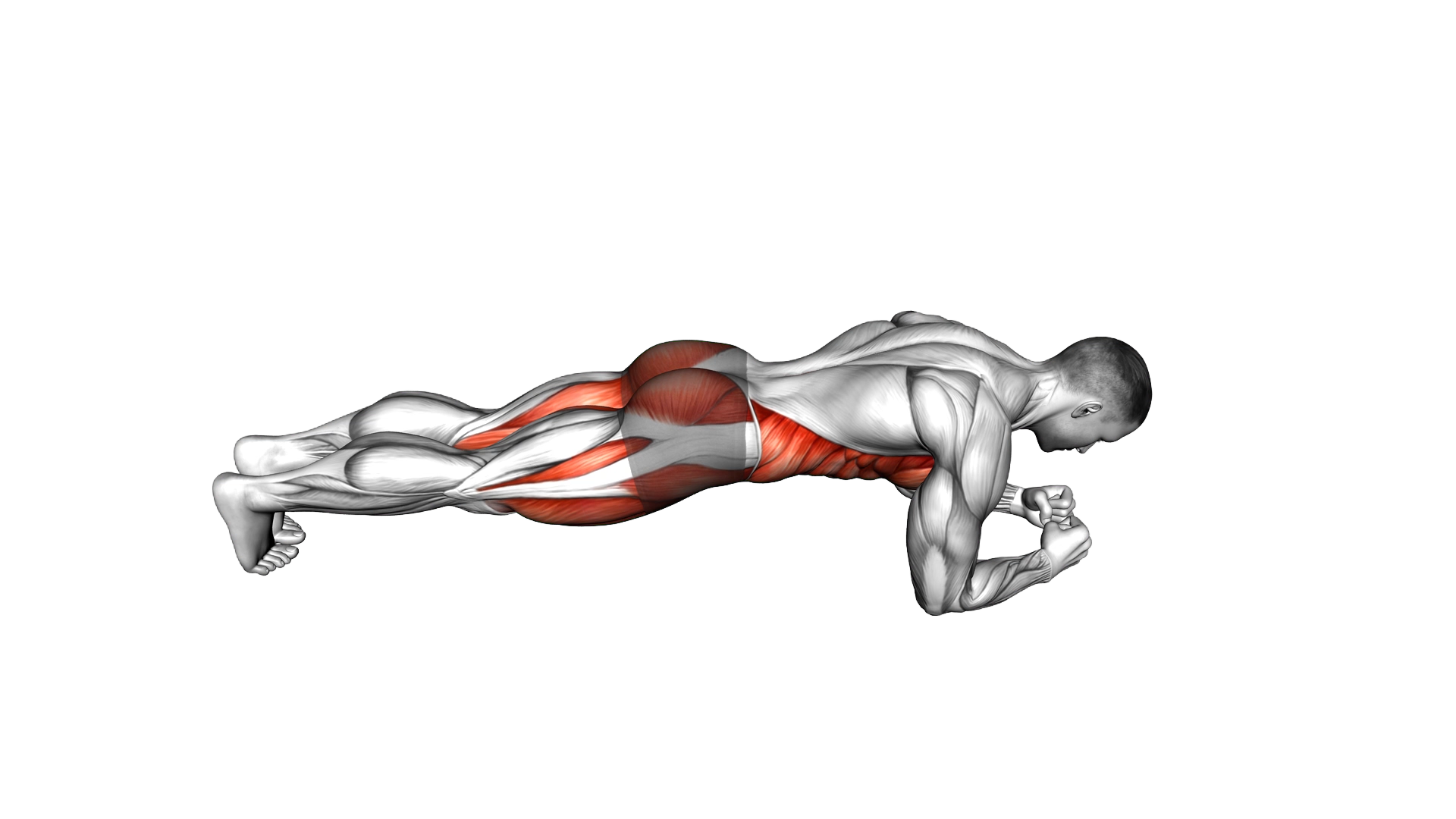 Spider Plank exercise demonstration