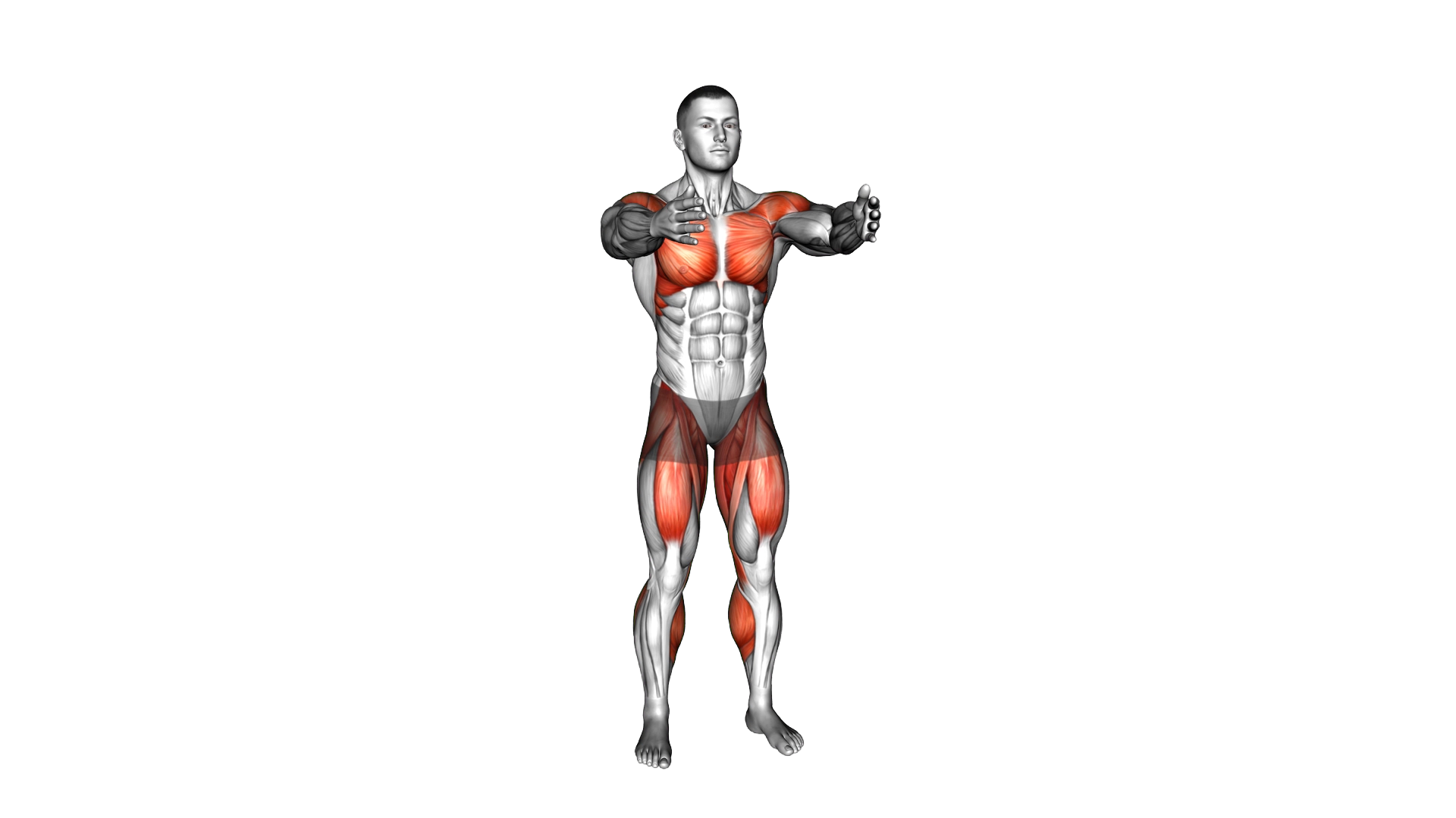 Front Leg Lift Under Knee Tap exercise demonstration