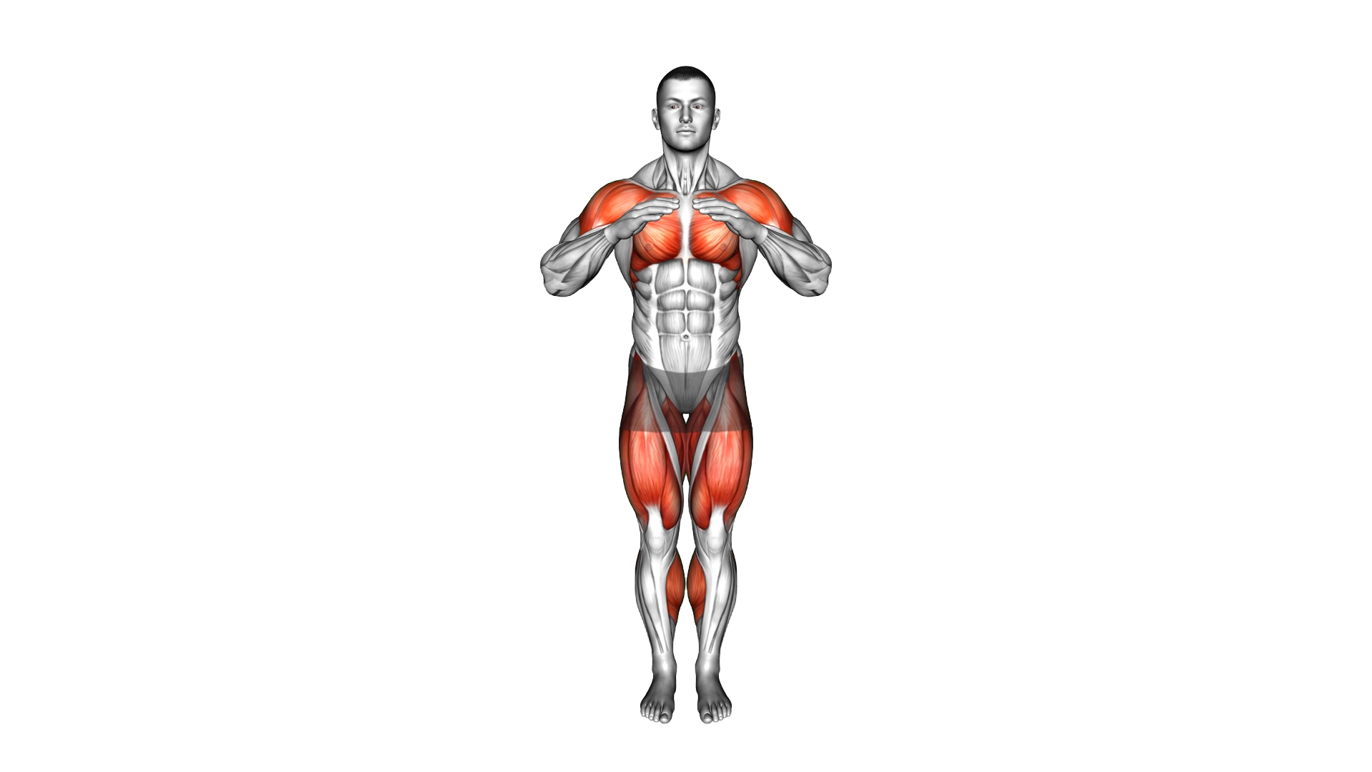 Swim Leg Circle exercise demonstration