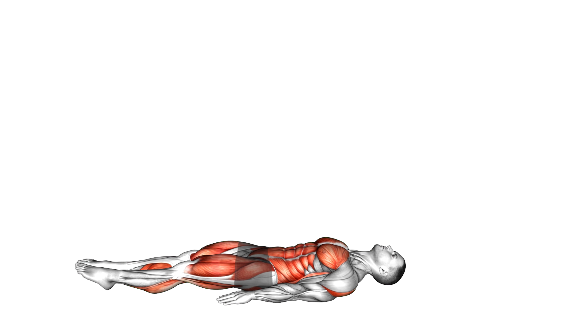 JackKnife exercise demonstration