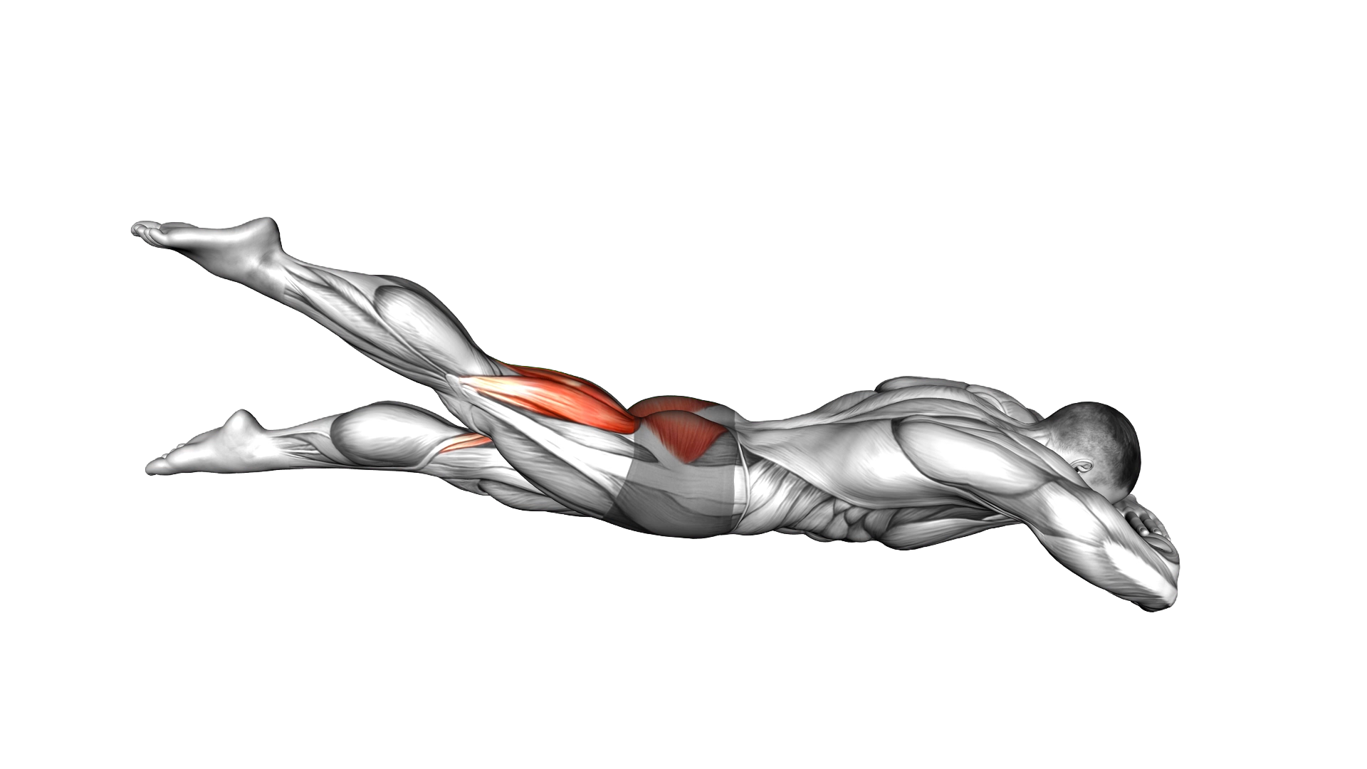 Lying Alternate Flutter Kick exercise demonstration