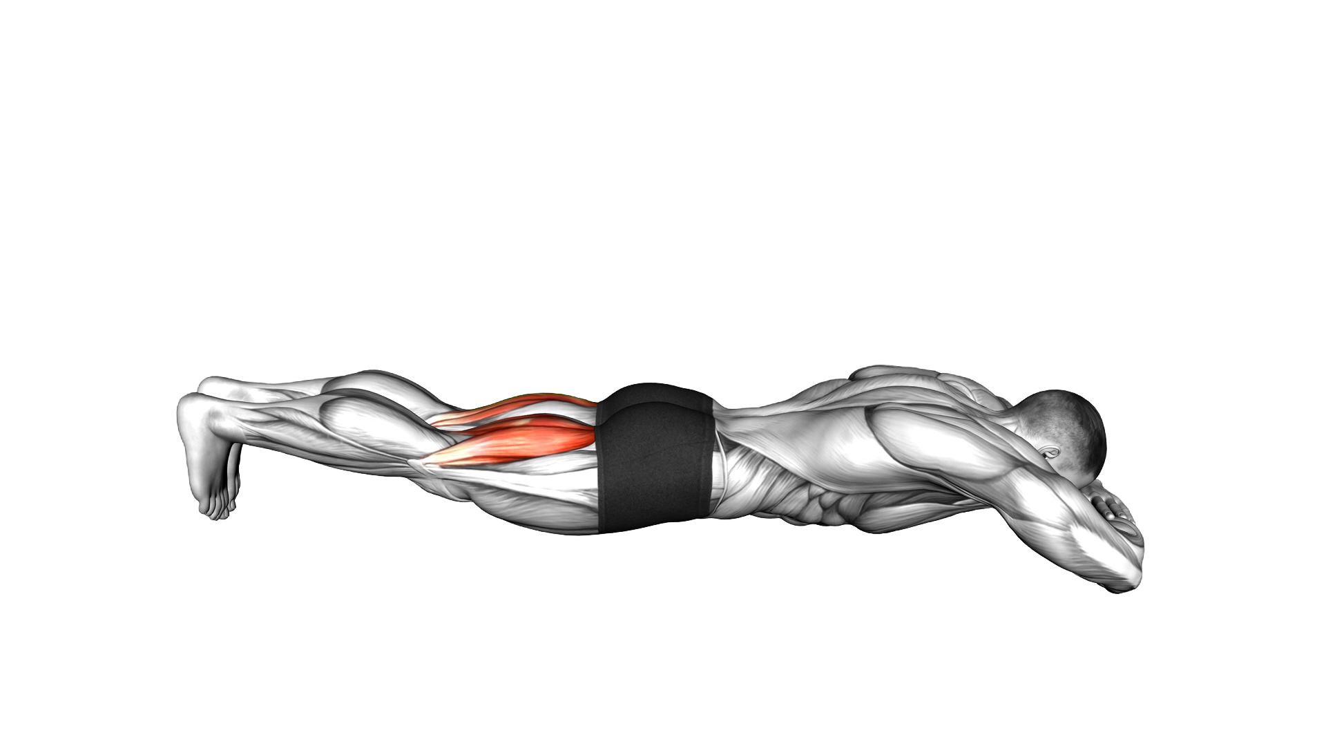 Bodyweight Lying Legs Curl exercise demonstration