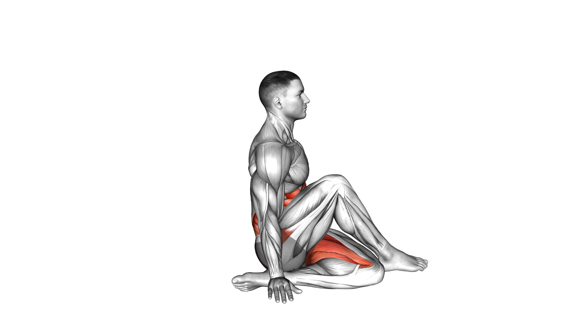 Ardha Matsyendrasana Yoga Pose exercise demonstration