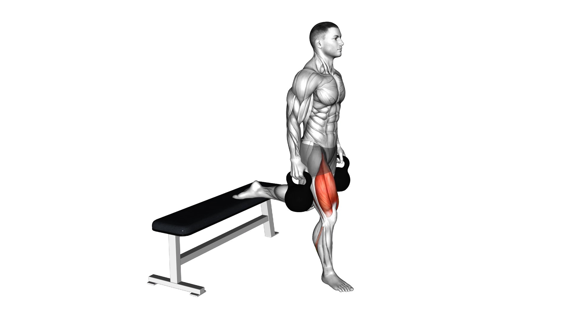 Kettlebell Single Leg Split Squat exercise demonstration