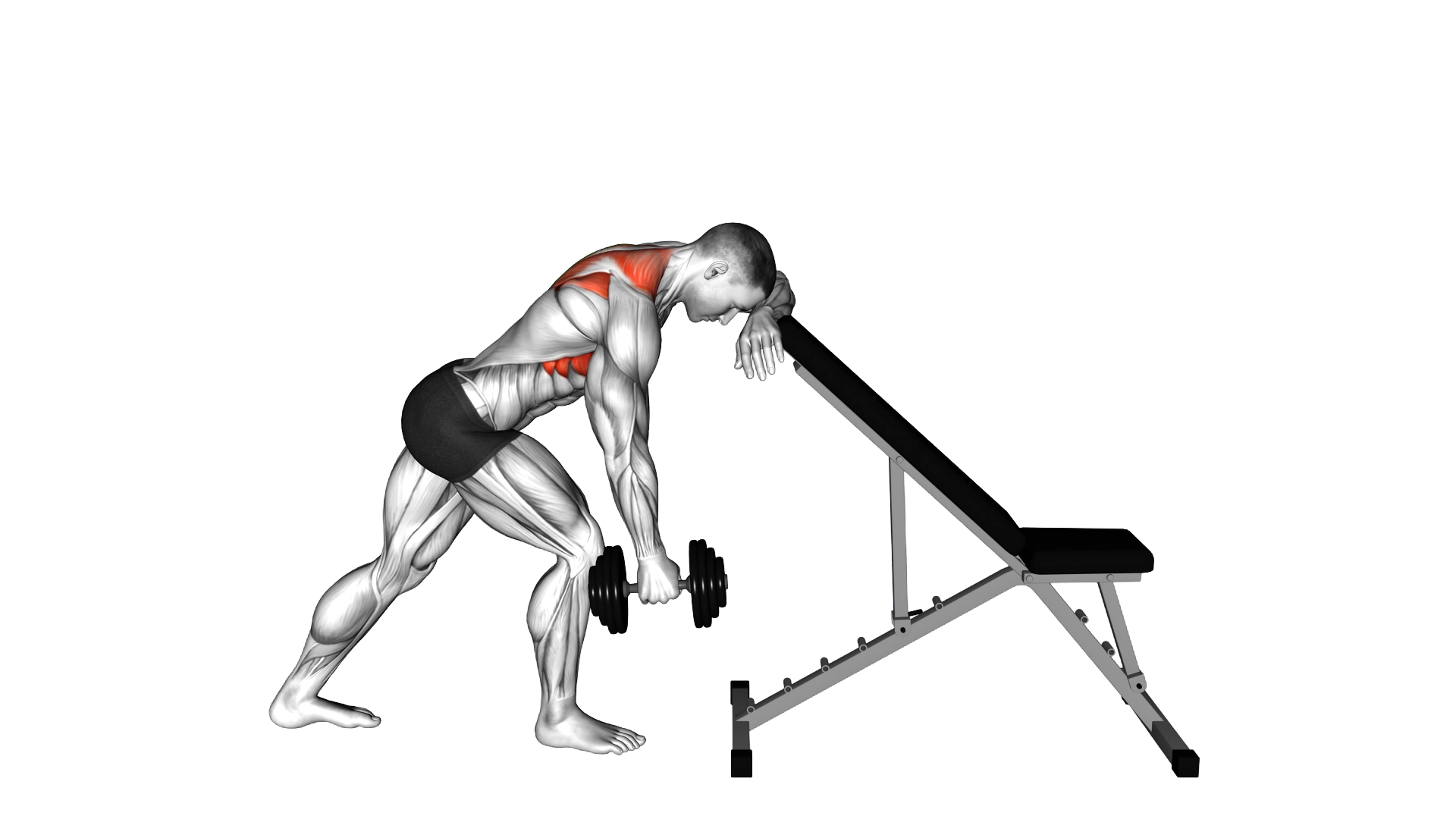 Dumbbell Unilateral Scapula Raise exercise demonstration