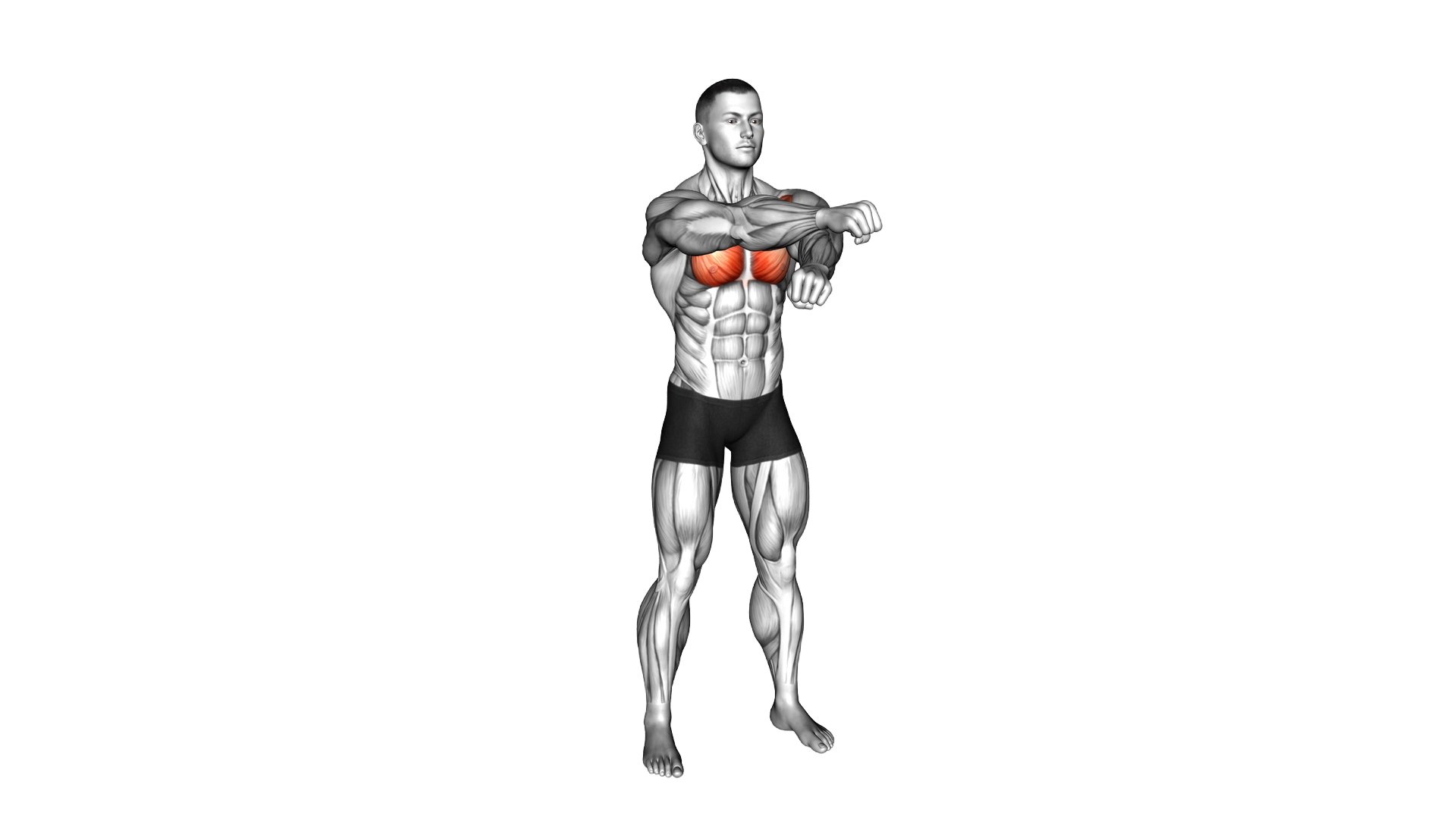 Pulsing Chest Crossovers exercise demonstration