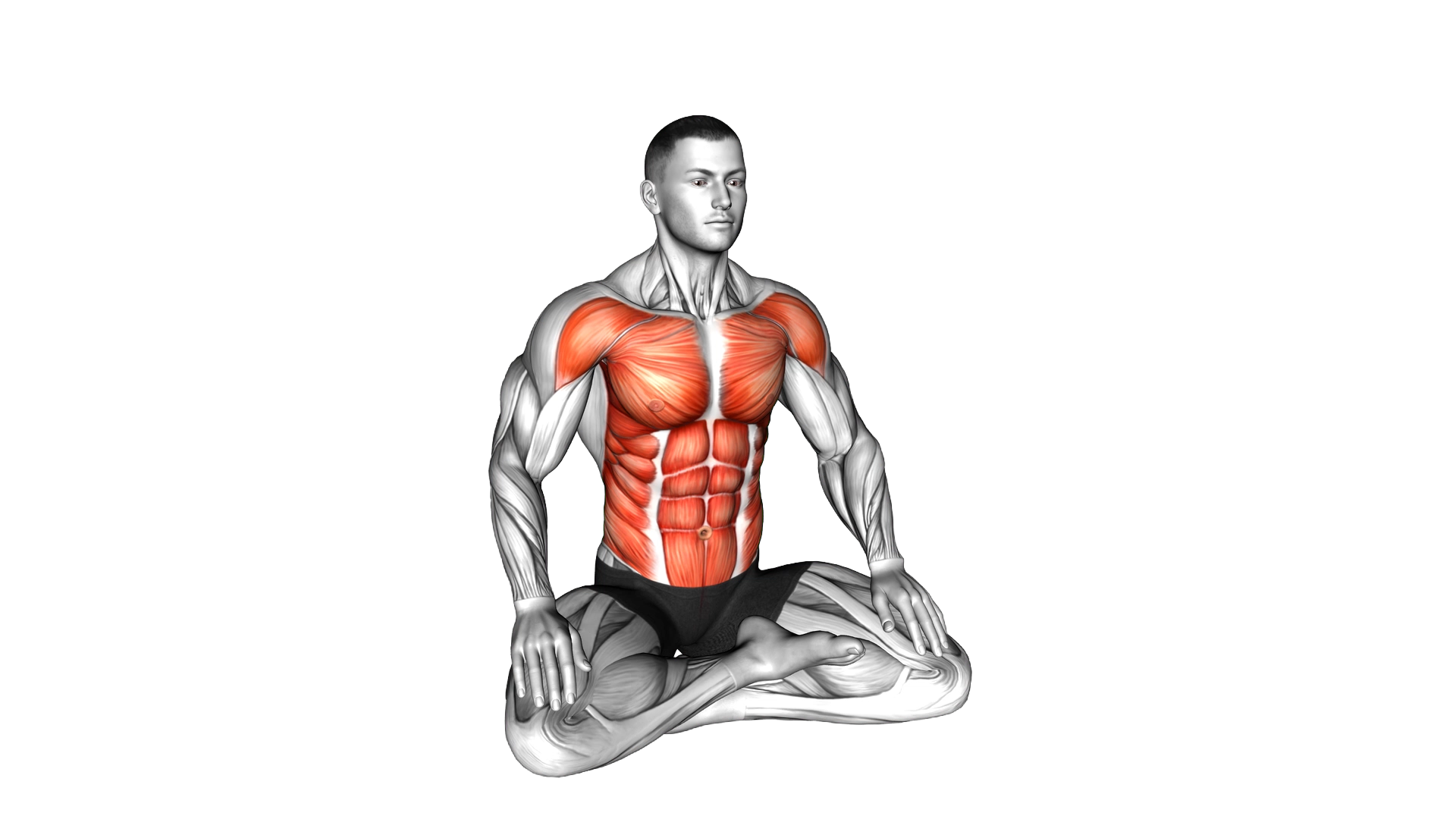 Sitting Opposite Tap exercise demonstration