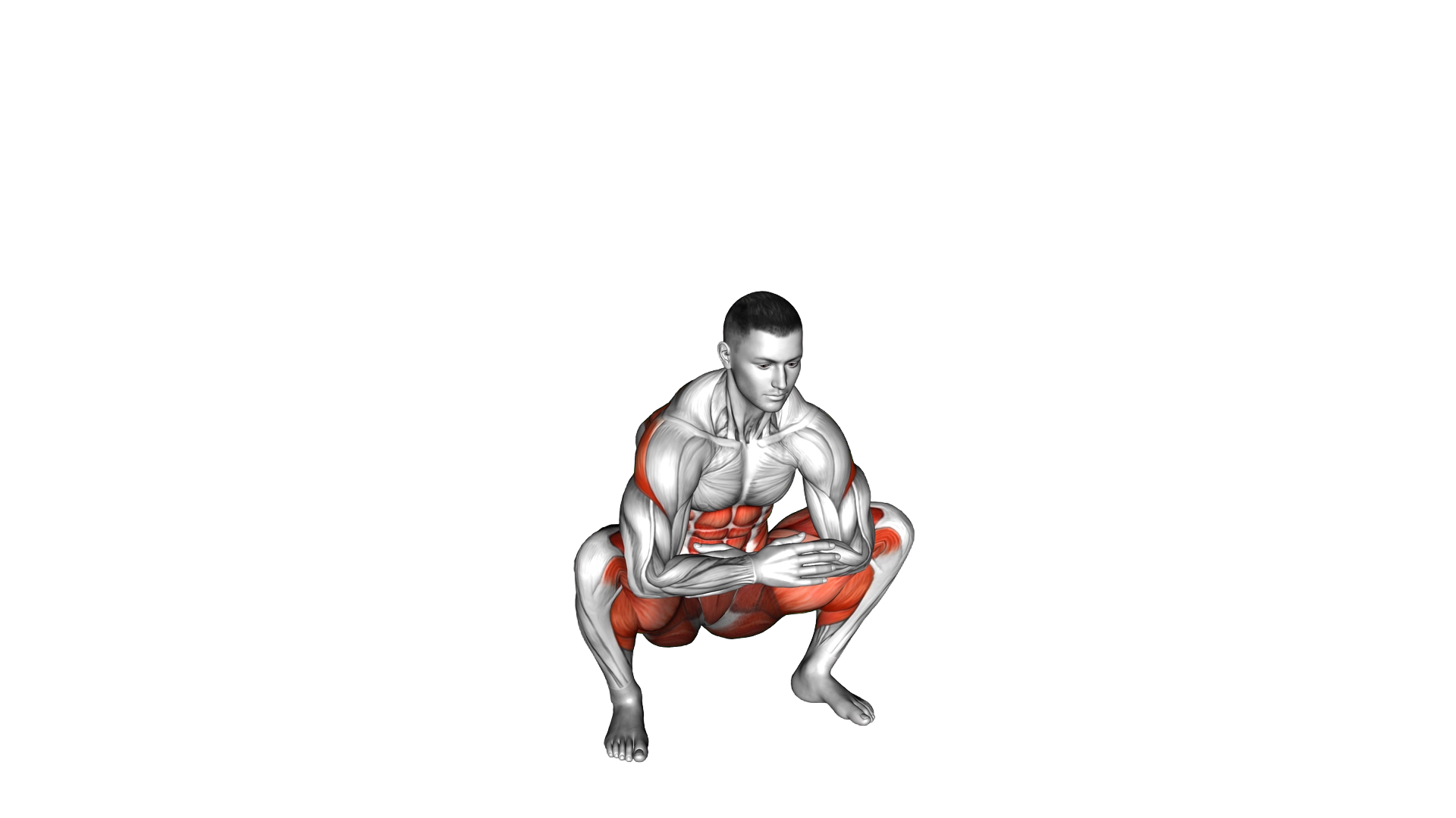 Squat Mobility Twist exercise demonstration
