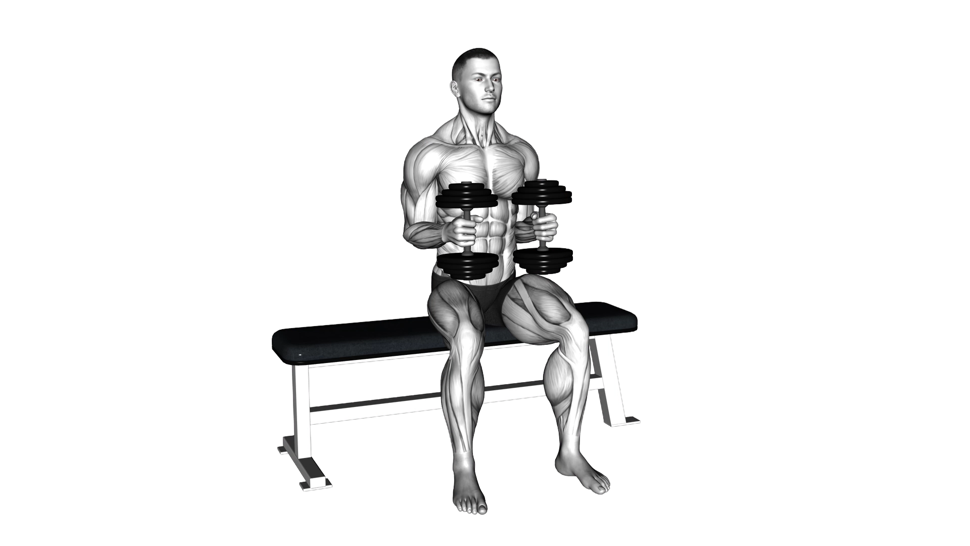 Dumbbell Seated External Rotation exercise demonstration