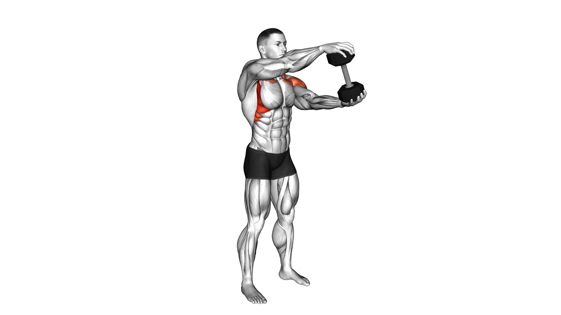 Dumbbell Standing Driver exercise demonstration