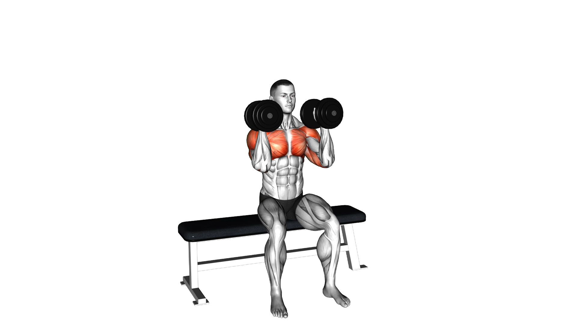 Dumbbell Seated Reverse Arnold Press exercise demonstration