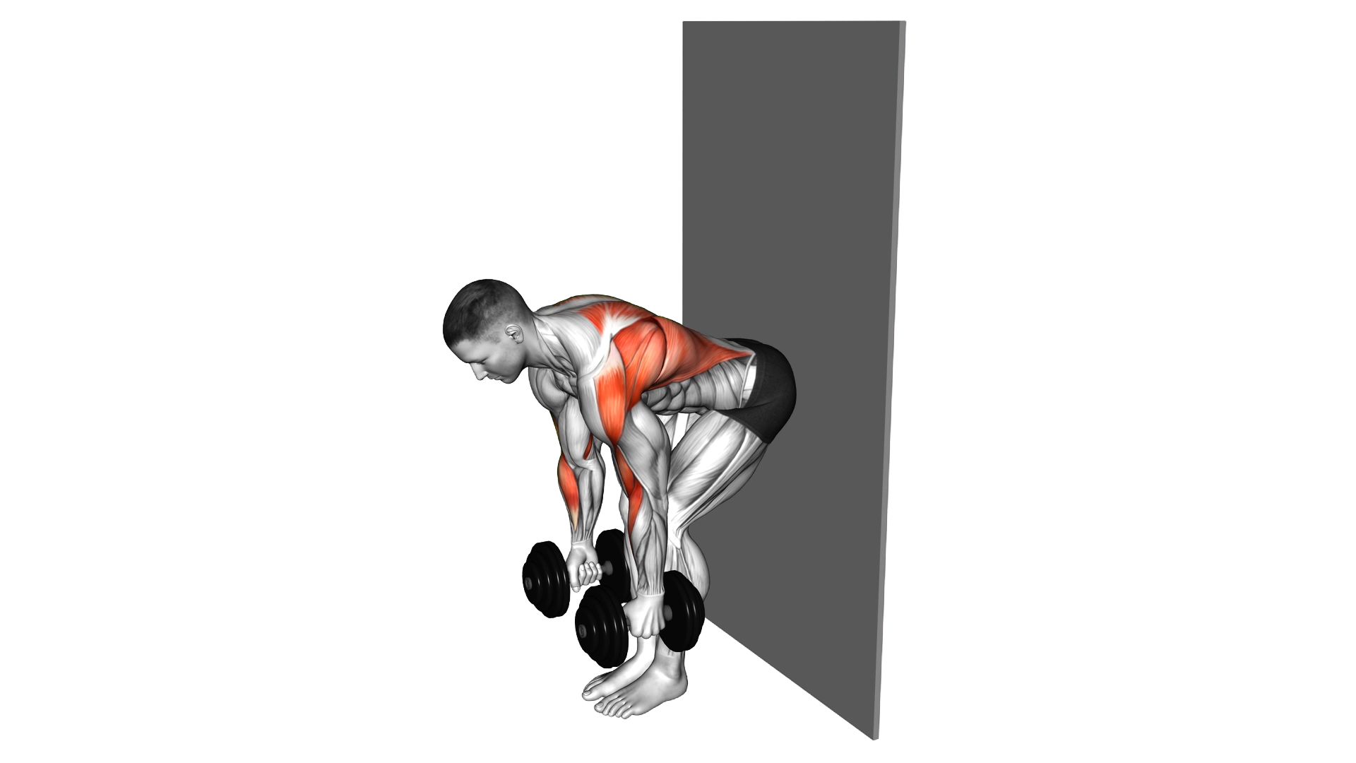 Dumbbell Bent Over Row against Wall exercise demonstration