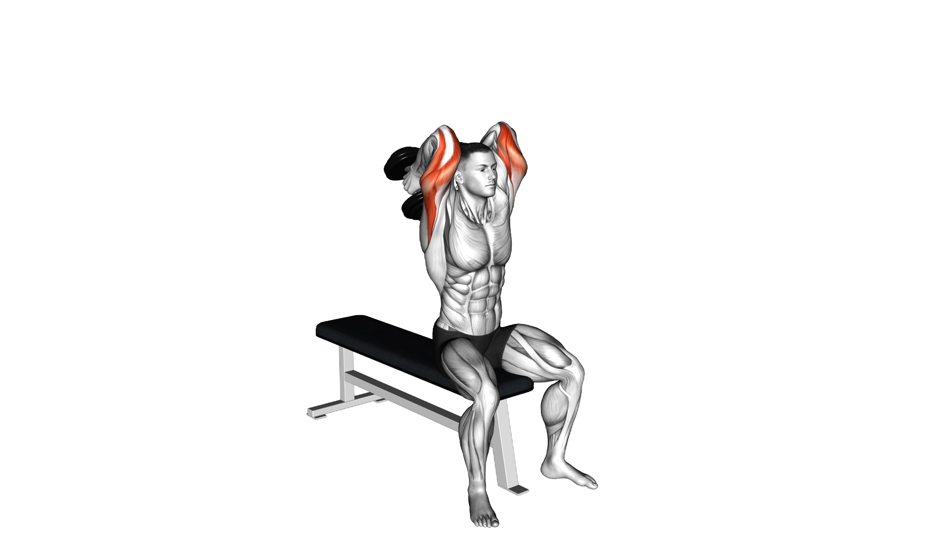 Dumbbell Seated Alternate Overhead Triceps Extensi exercise demonstration