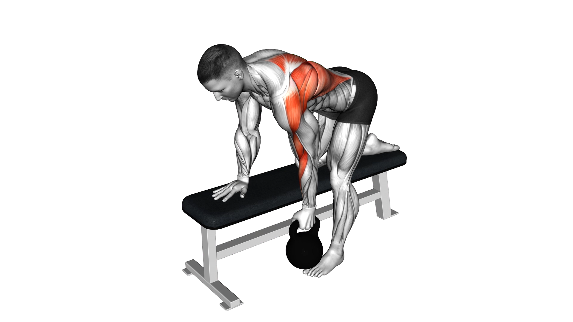 Kettlebell Bent over Row exercise demonstration