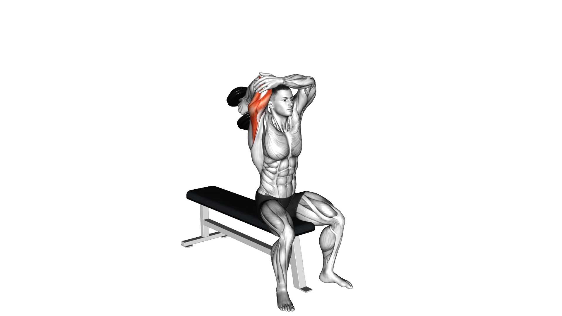 Dumbbell Seated Single Arm Overhead Triceps Extens exercise demonstration