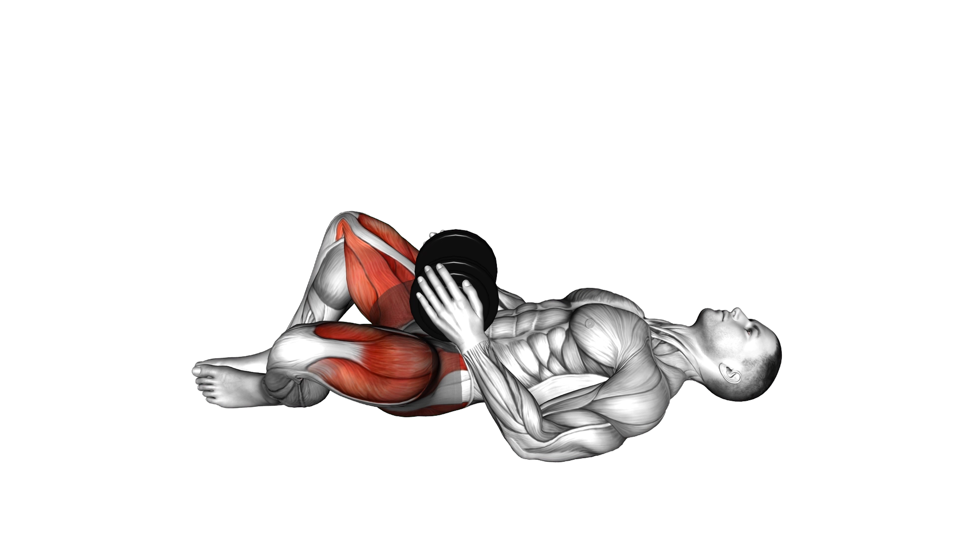 Dumbbell Frog Hip Thrust exercise demonstration