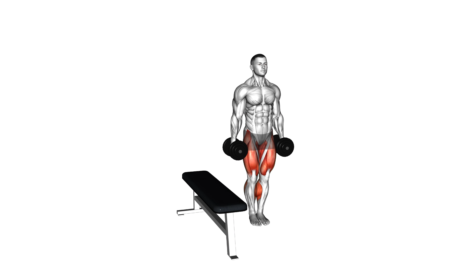 Dumbbell Lateral Step up exercise demonstration