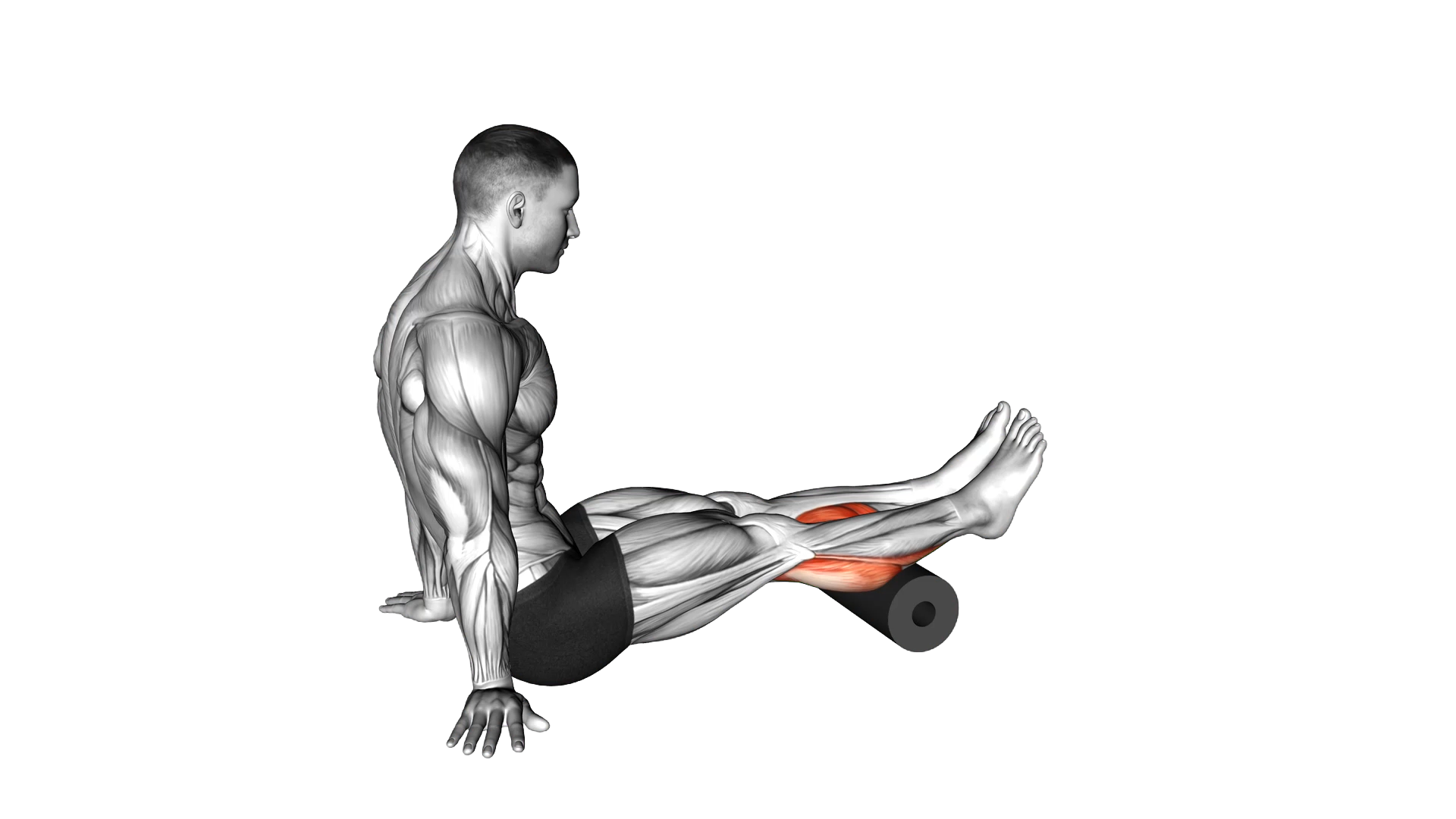 Roll Calves exercise demonstration