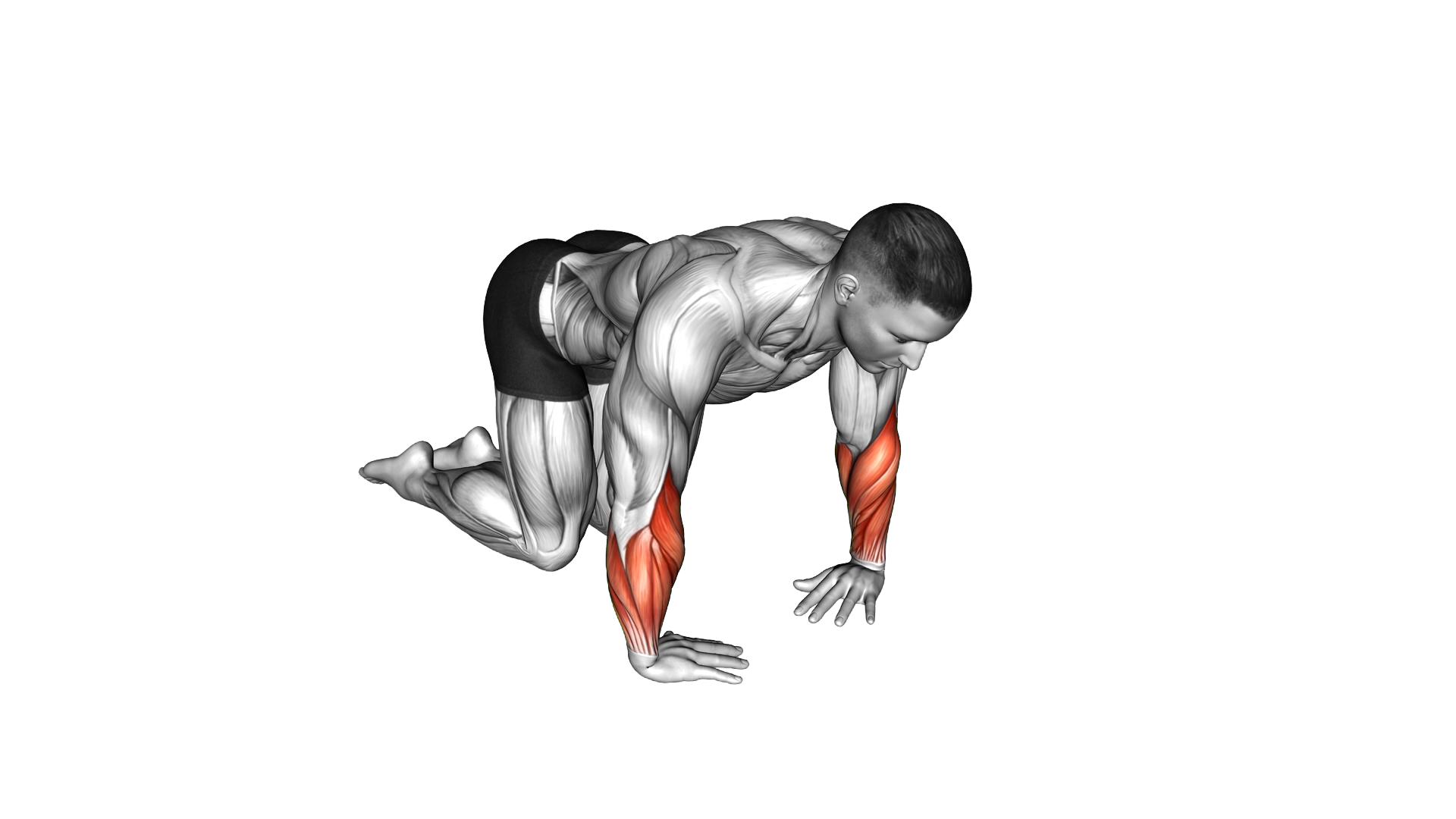 Wrist Ulnar Deviator And Flexor Stretch exercise demonstration