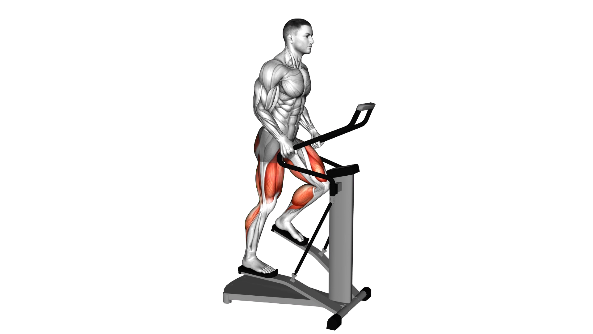 Lever Stepper exercise demonstration