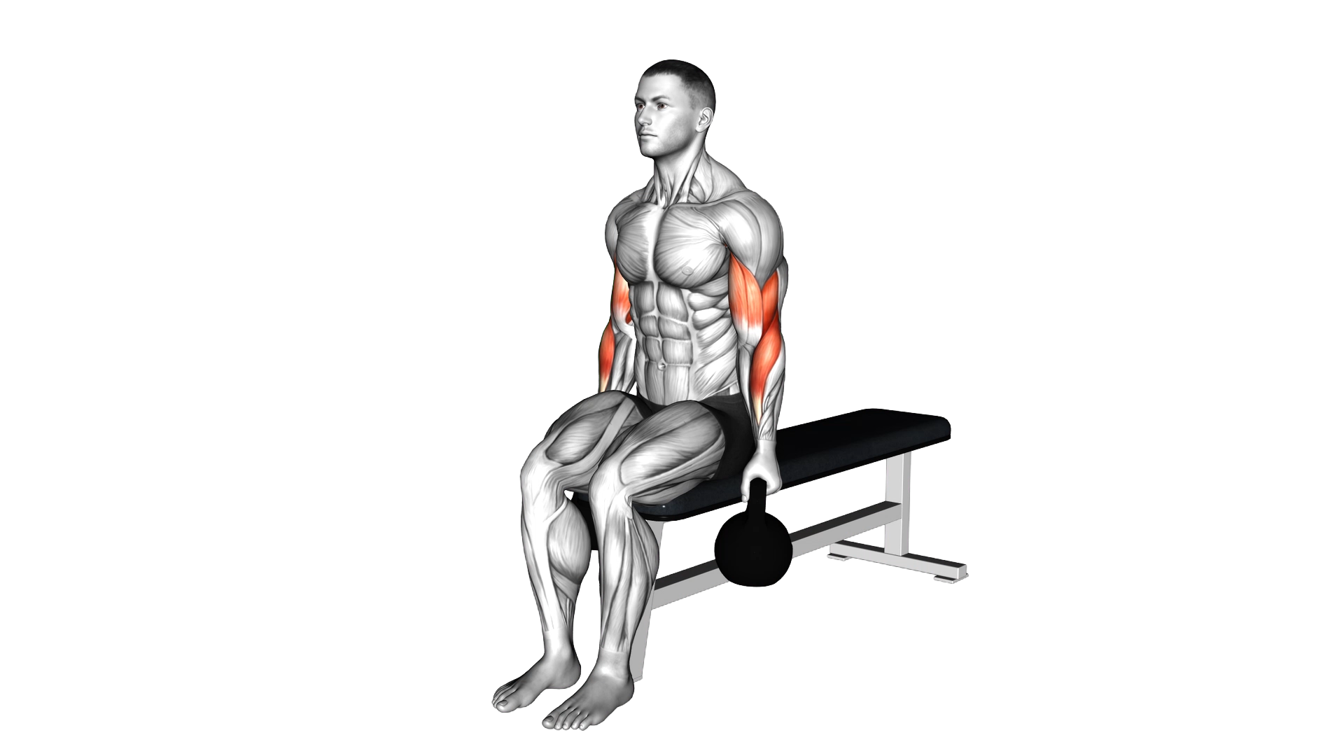 Kettlebell Alternate Biceps Curl exercise demonstration