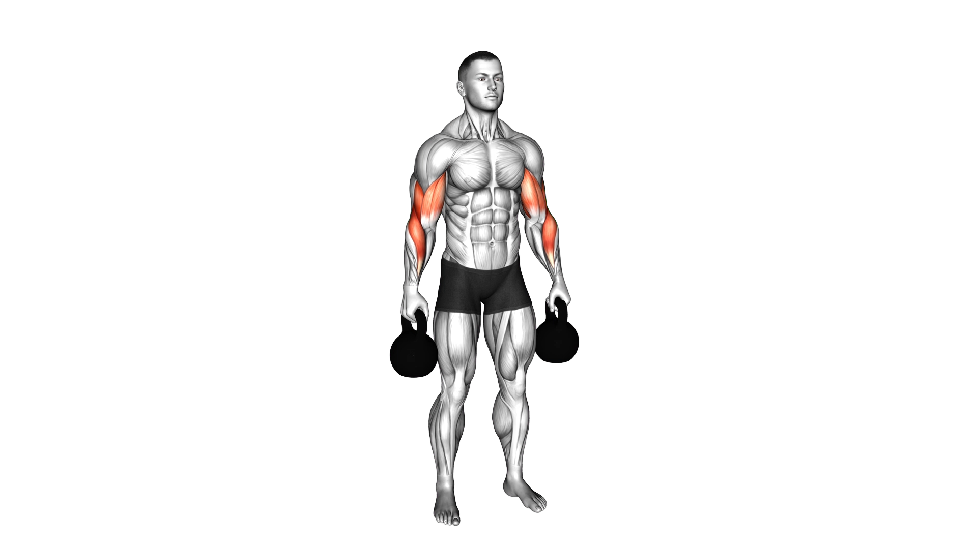 Kettlebell Standing Reverse Curl exercise demonstration