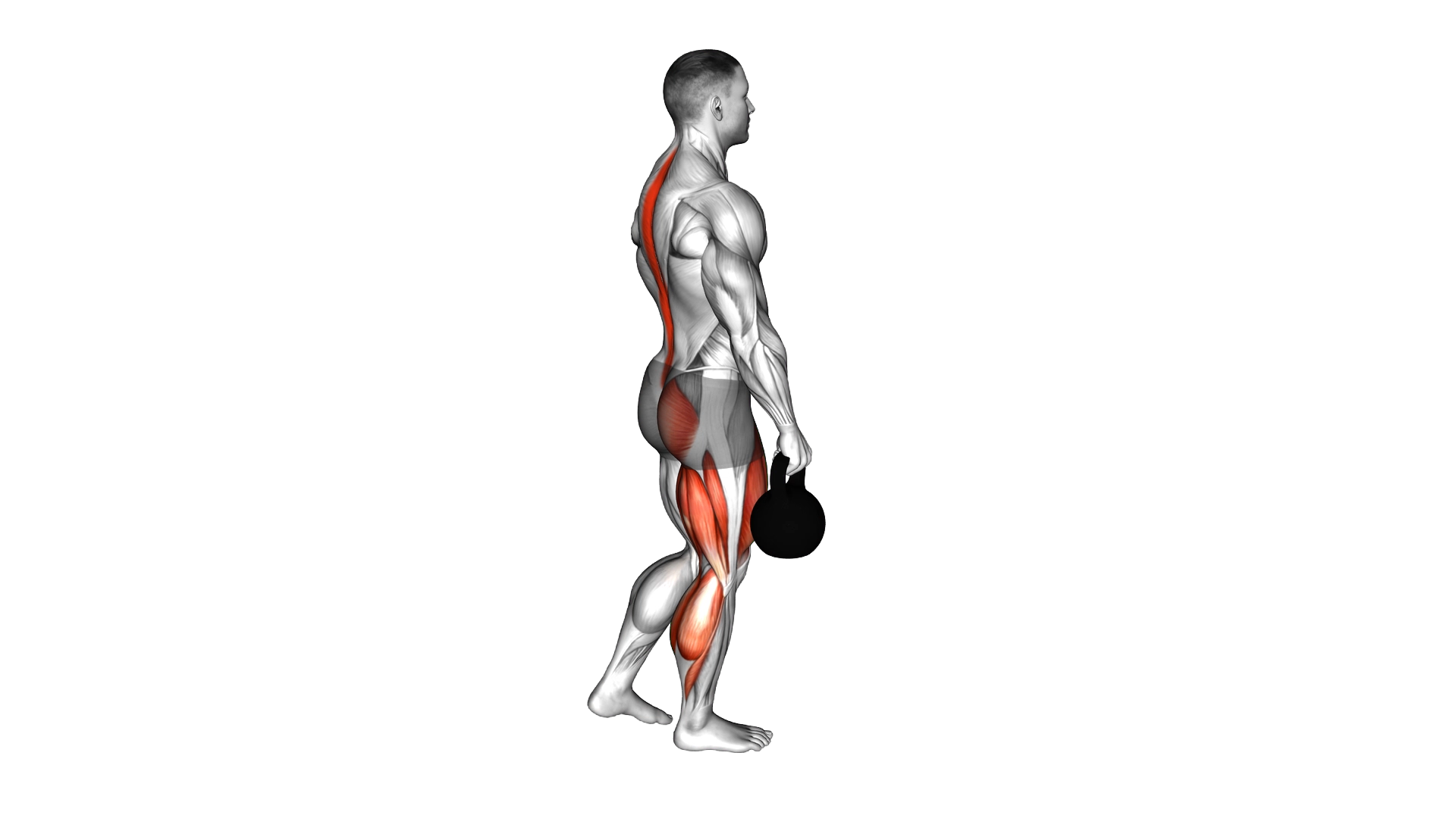 Kettlebell Single Leg Deadlift exercise demonstration