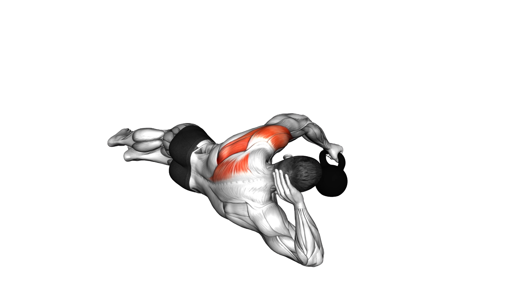 Kettlebell Lying on Floor Rear Delt Raise exercise demonstration