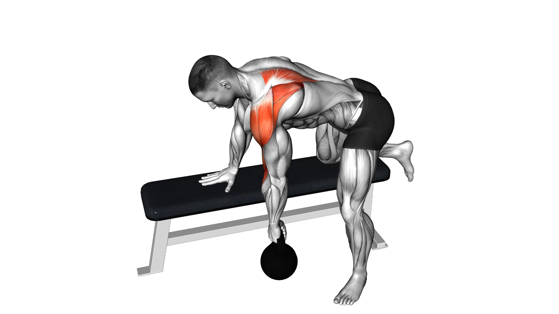 Kettlebell Rear Delt Row exercise demonstration