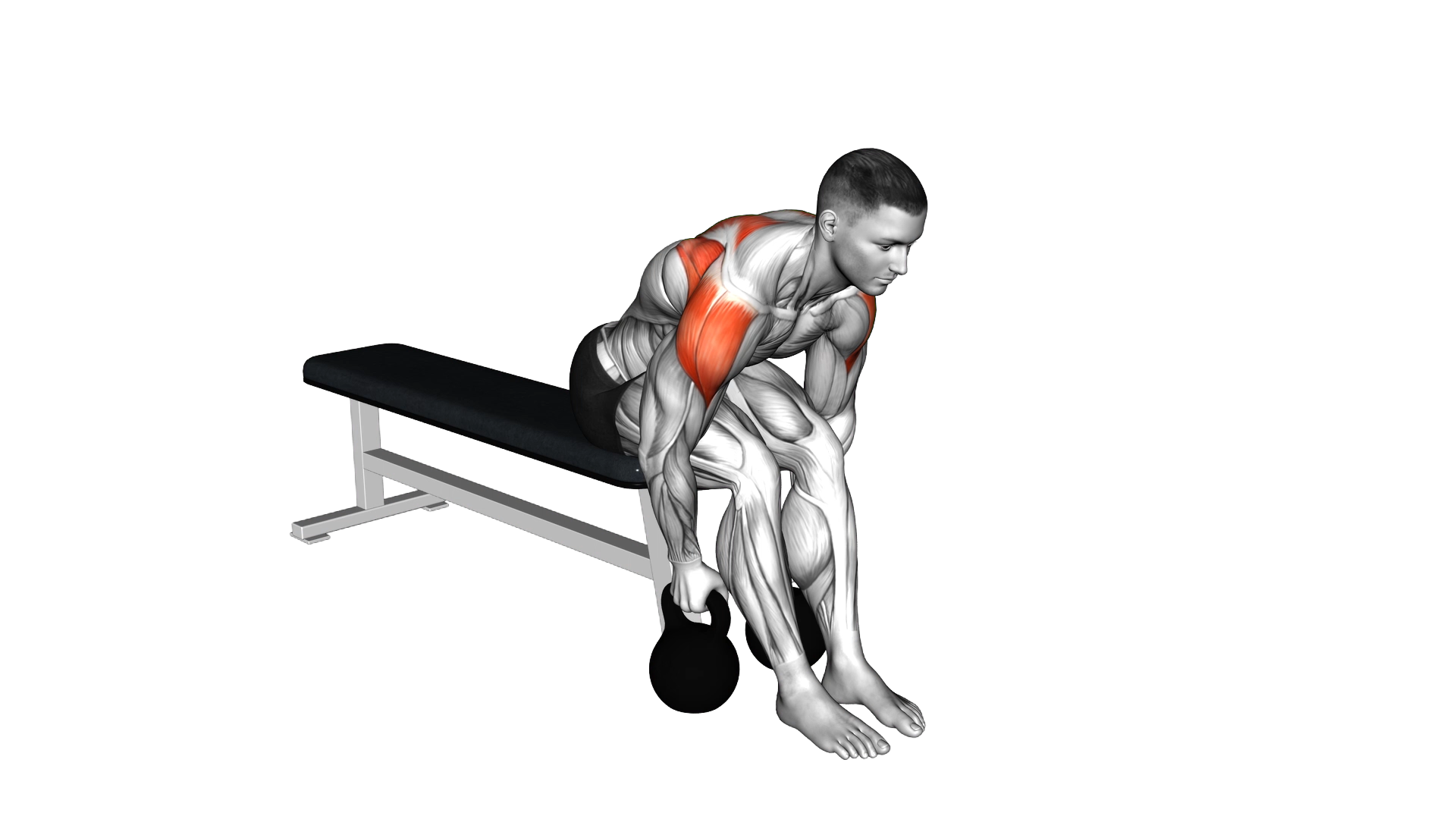 Kettlebell Rear Fly exercise demonstration