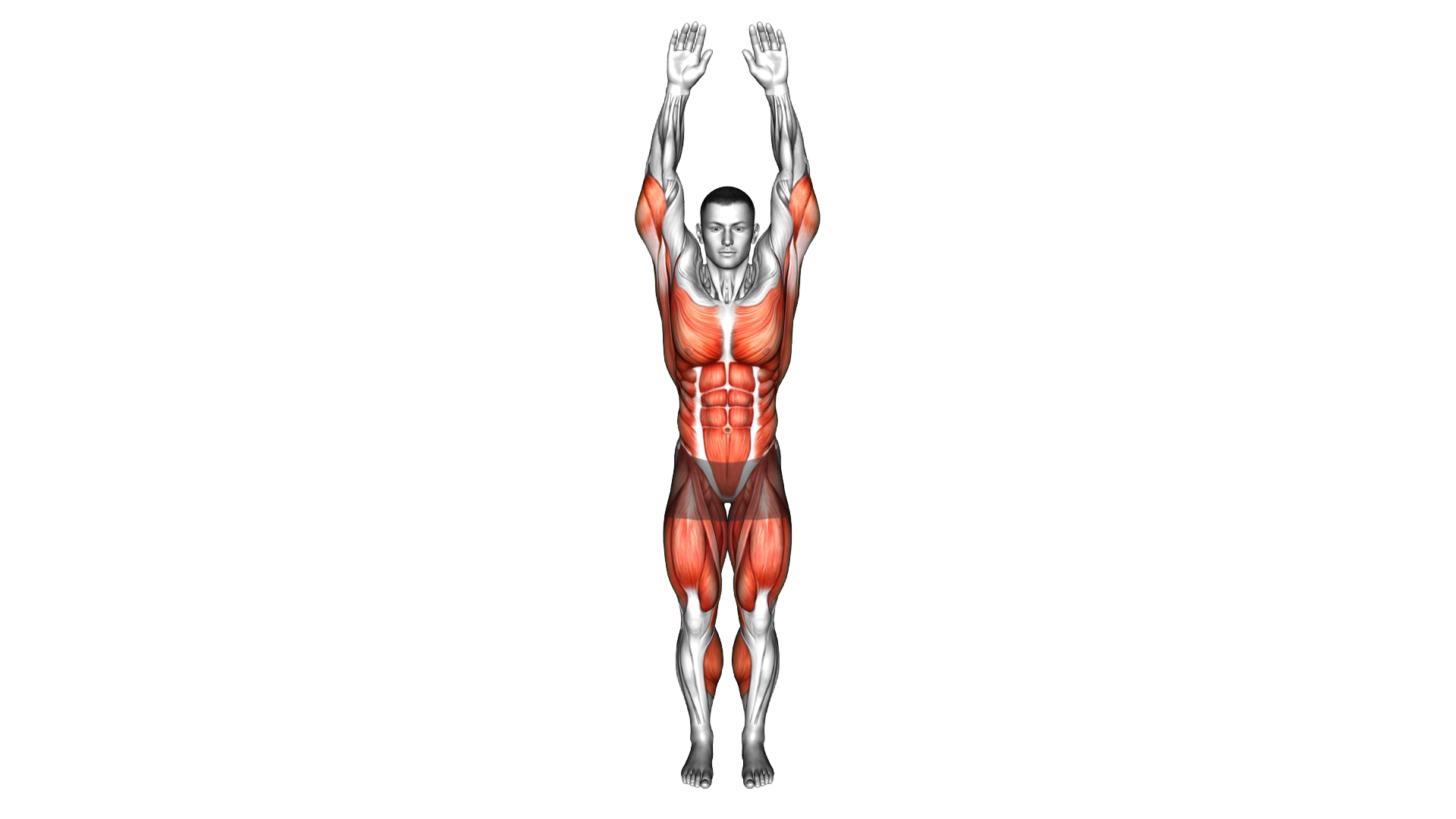 Skater Arm Swings exercise demonstration