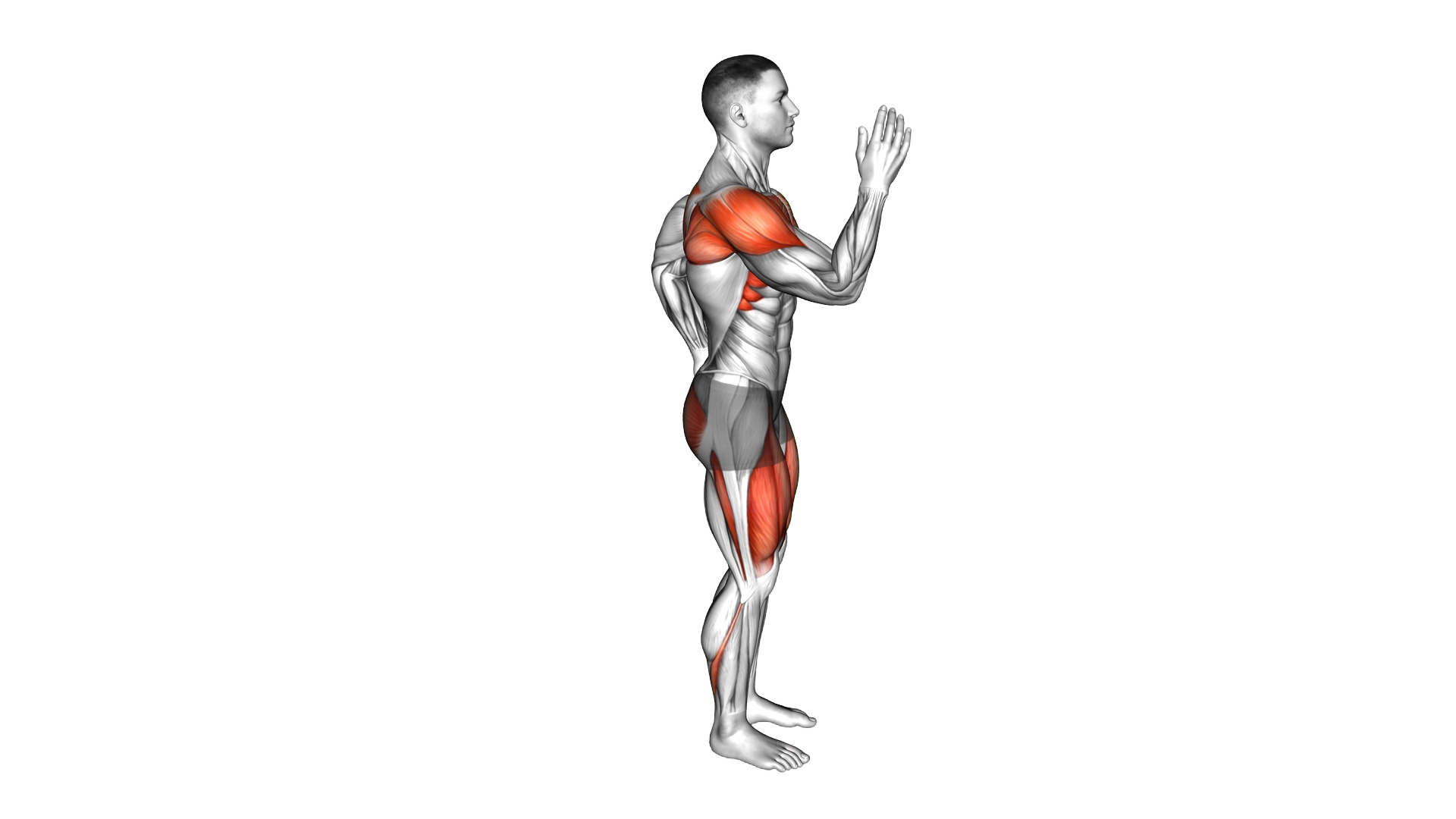 Reverse Lunge Quick Arms exercise demonstration