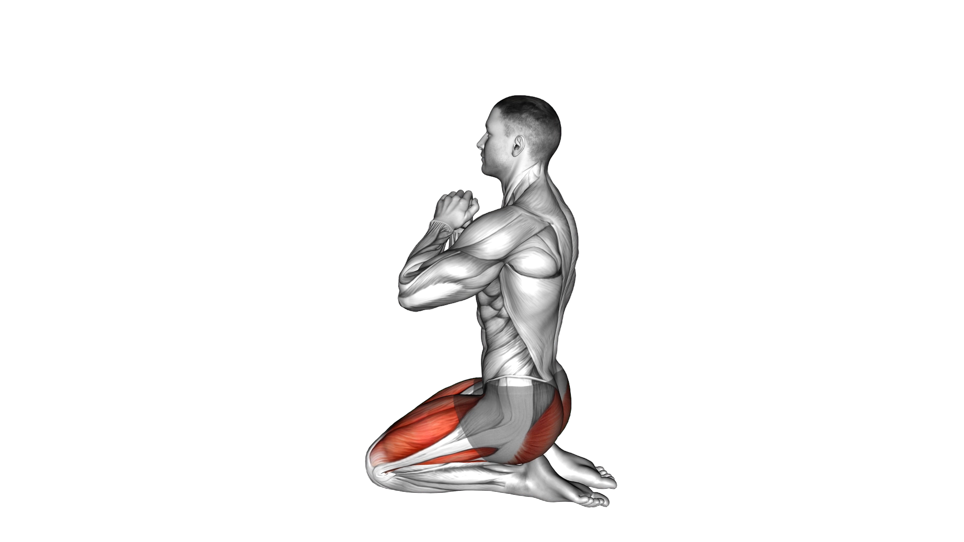 Kneeling Hip Thrust exercise demonstration