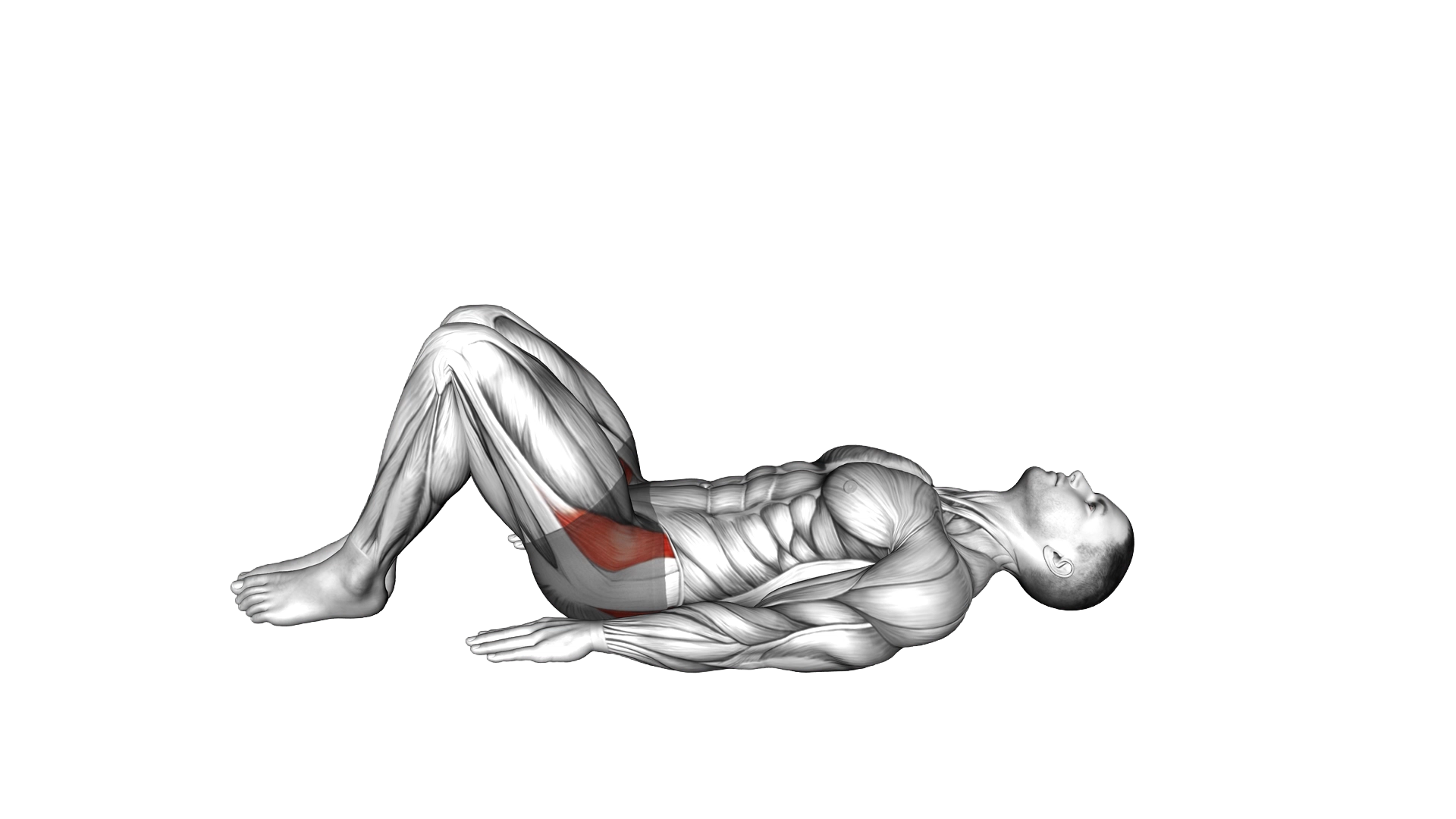 Lying Hip Adduction exercise demonstration