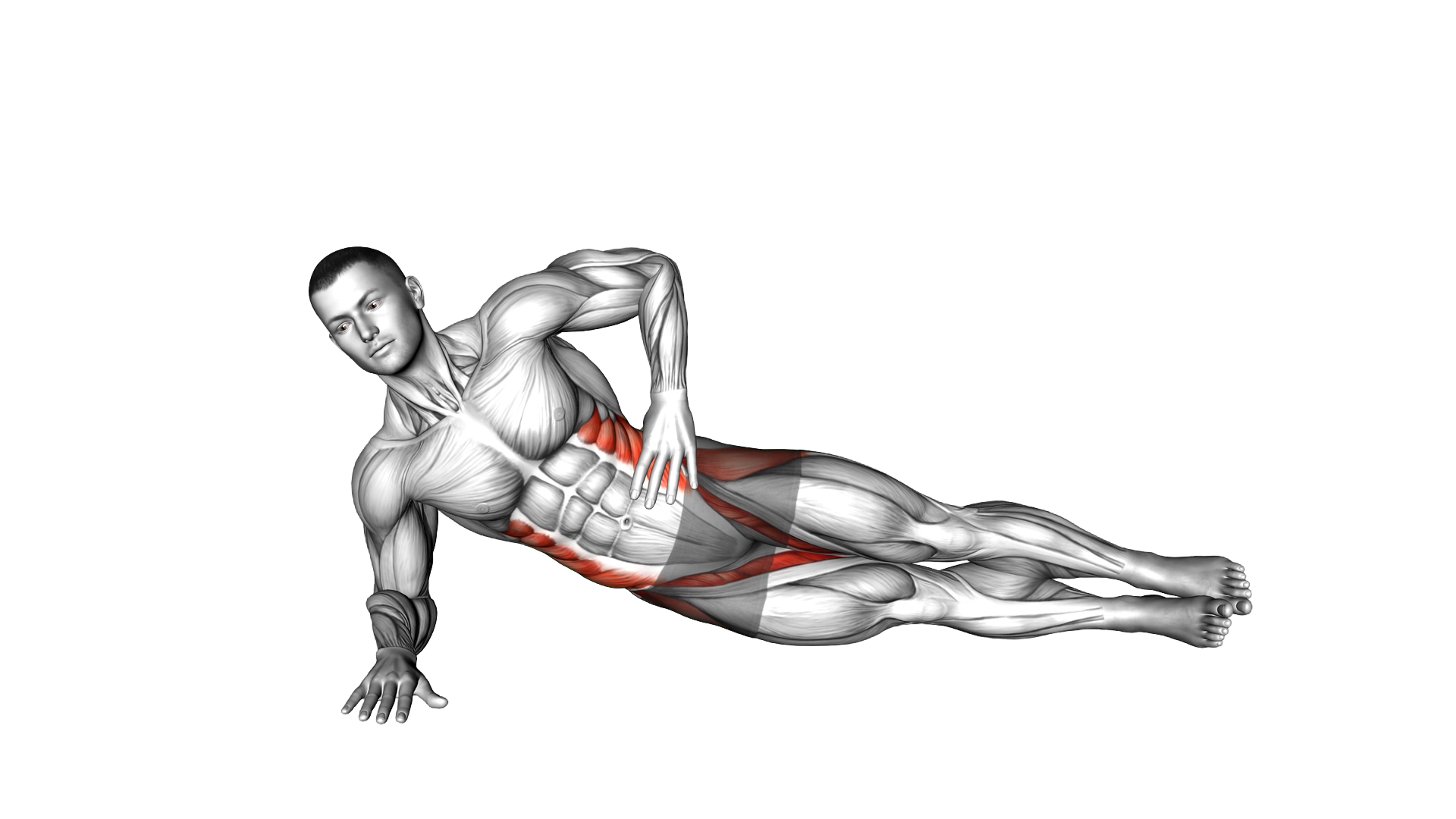 Side Plank Leg Lift (left) exercise demonstration