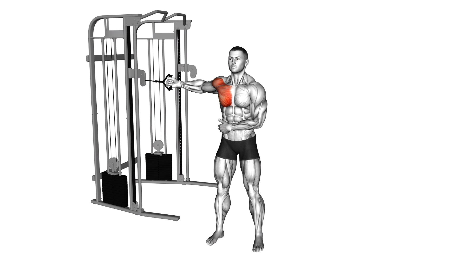 Cable Standing Single Arm Fly exercise demonstration