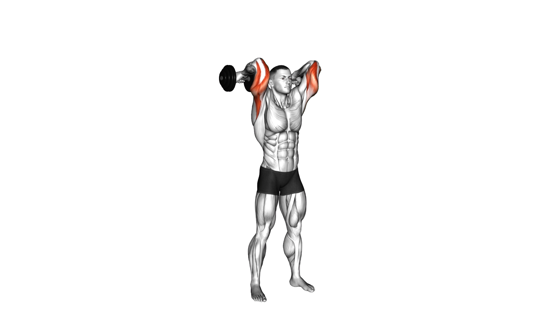 Dumbbell Standing French Press exercise demonstration