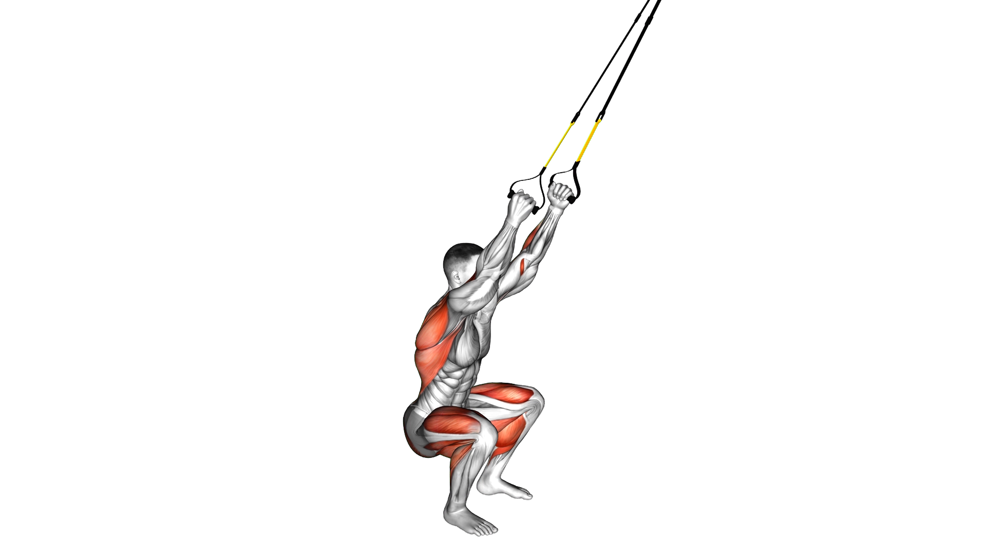 Suspender Squat Jump exercise demonstration